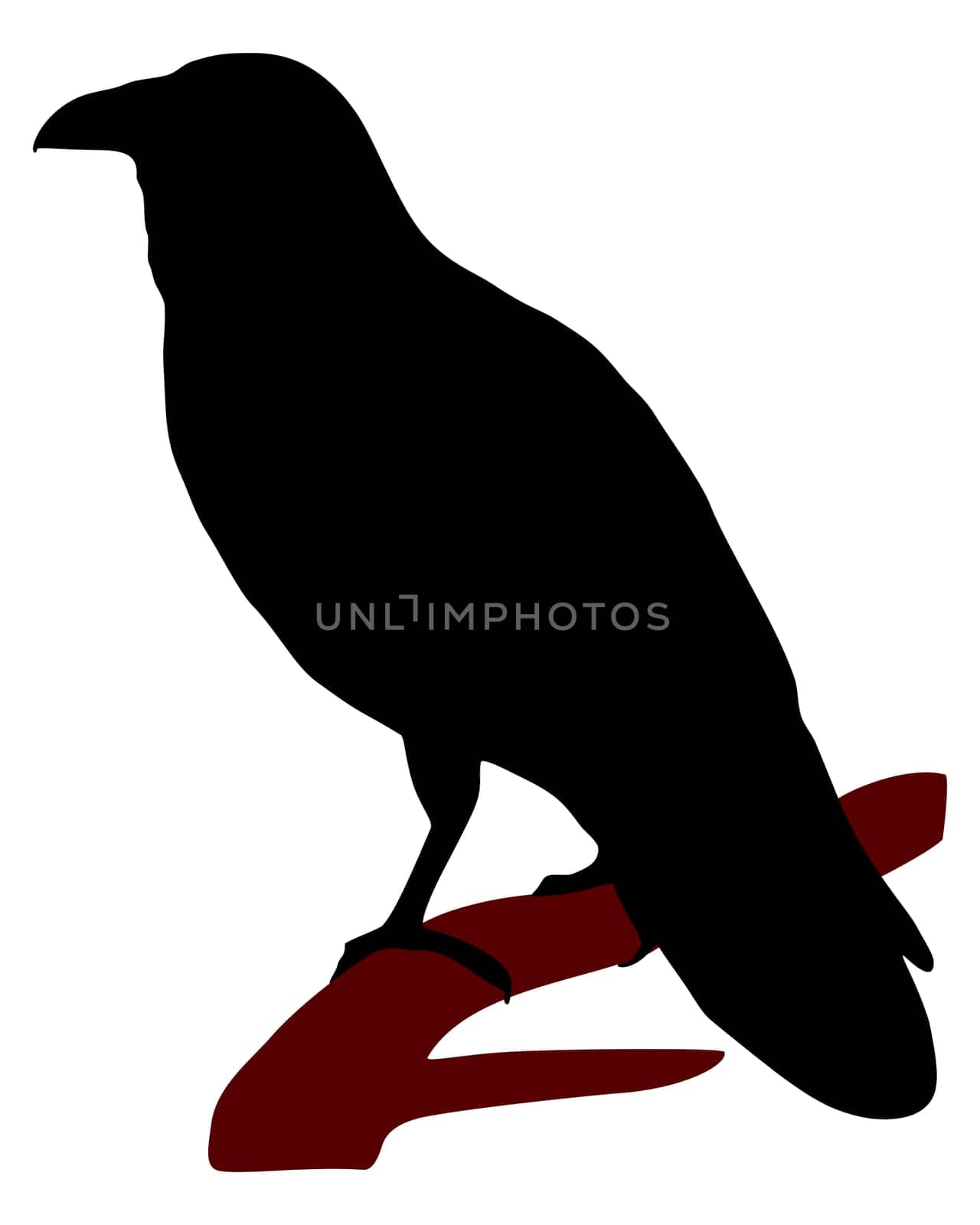Raven Silhouette