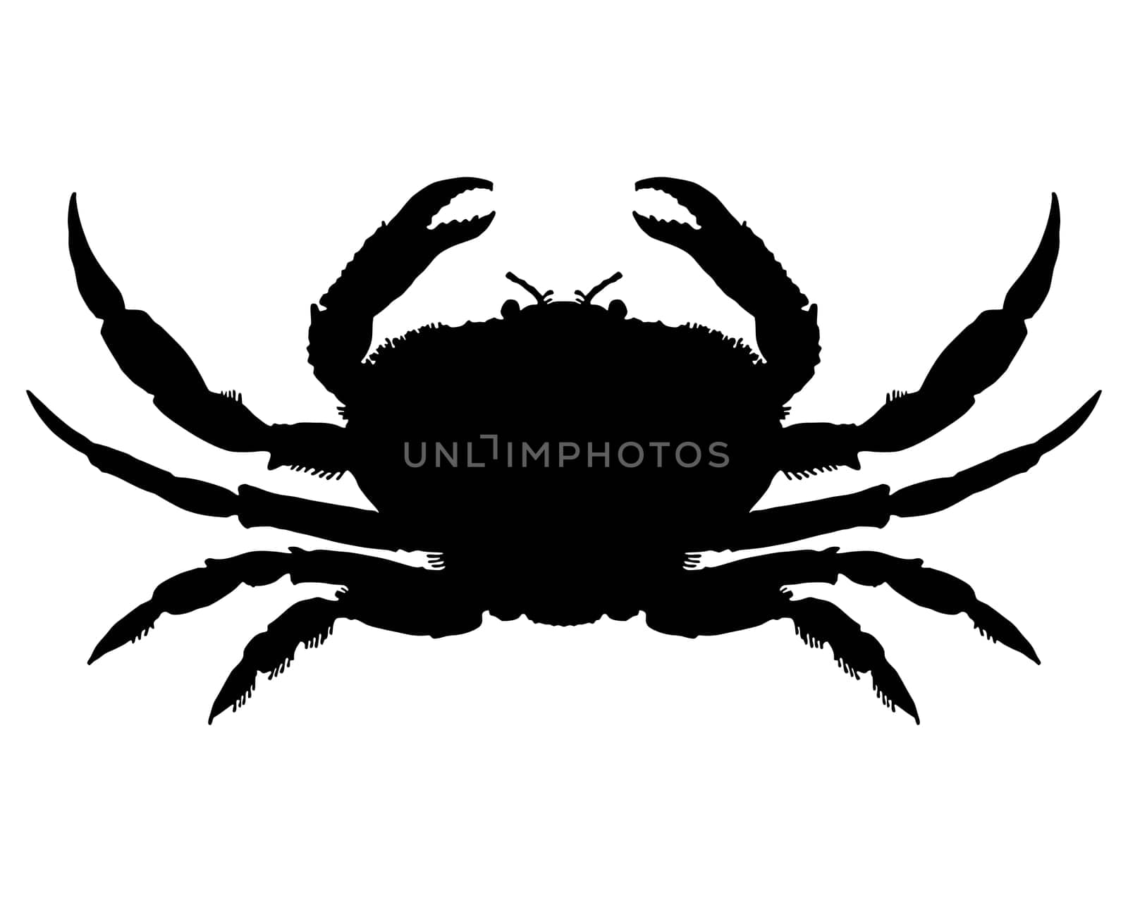 Crab Silhouette