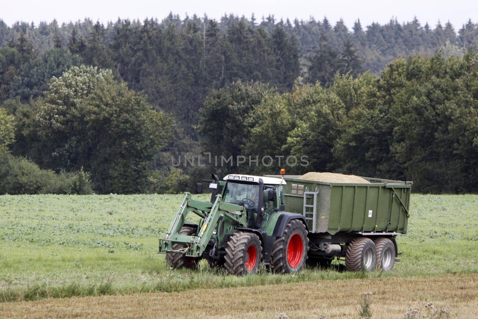Tractor with trailer harvesting grain