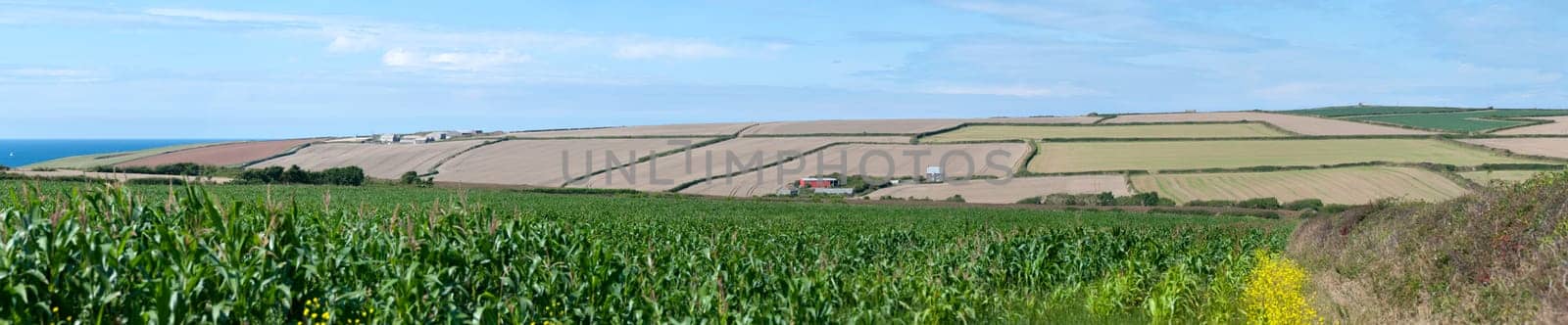 overview of cultivated fields near the sea in cornwall