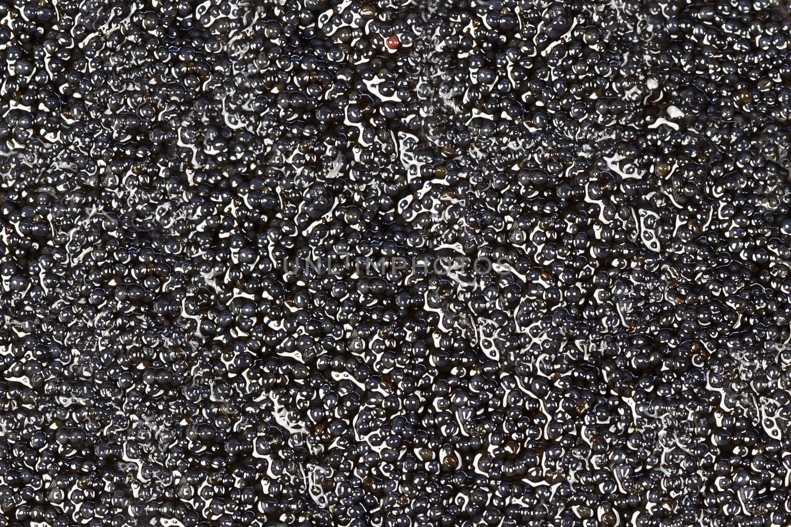 abstract background from appetizing black fish caviar