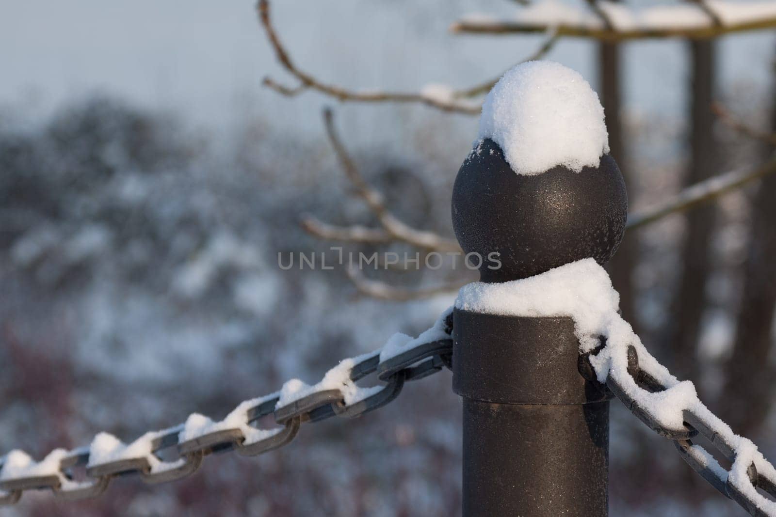 Winter walk on the Schwanenallee