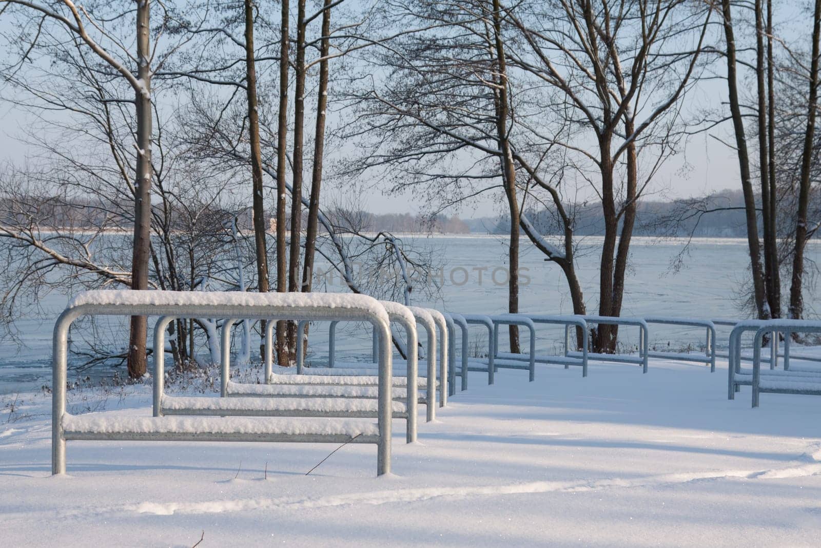 Winter walk on the Schwanenallee