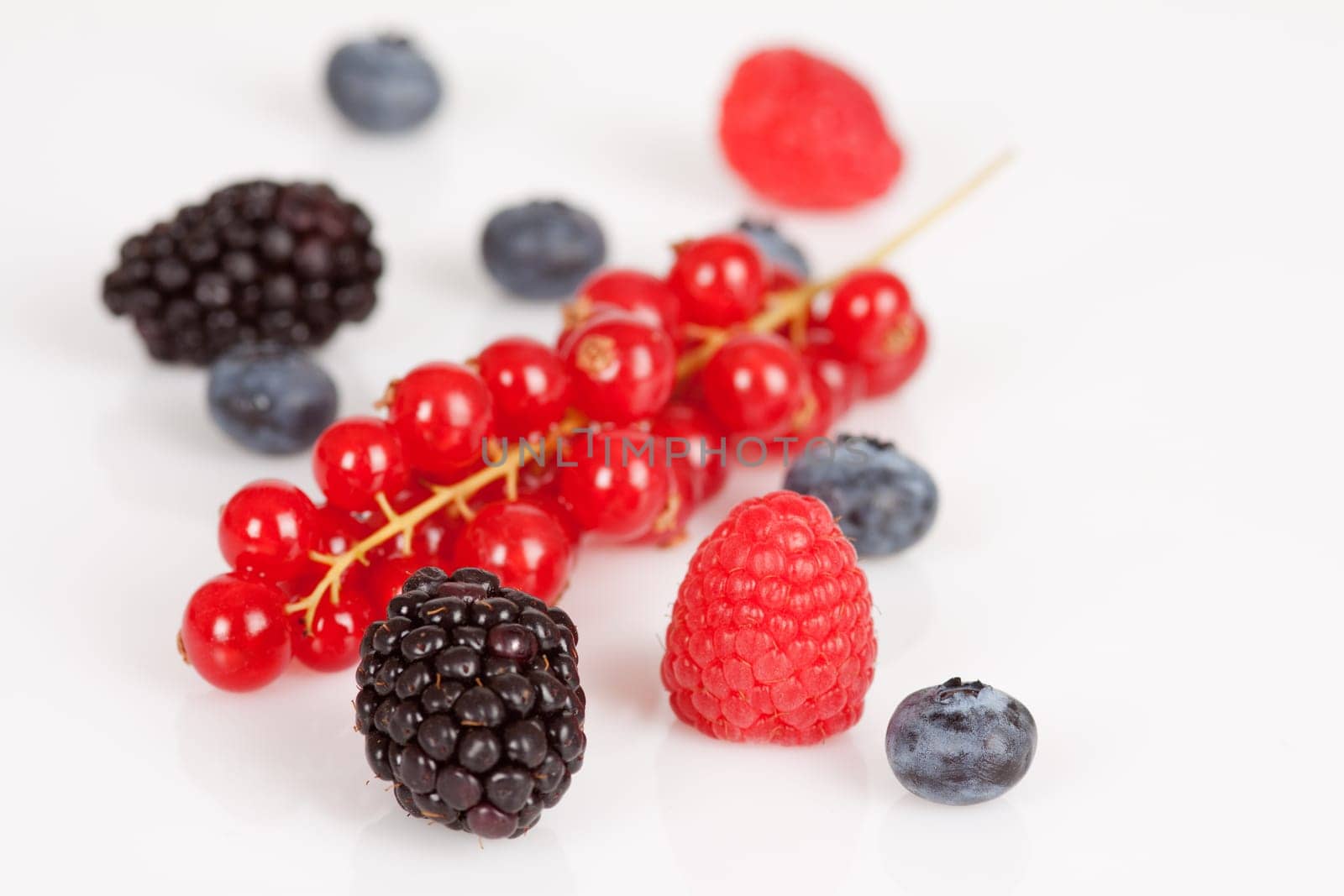 Mixed berries on a white background