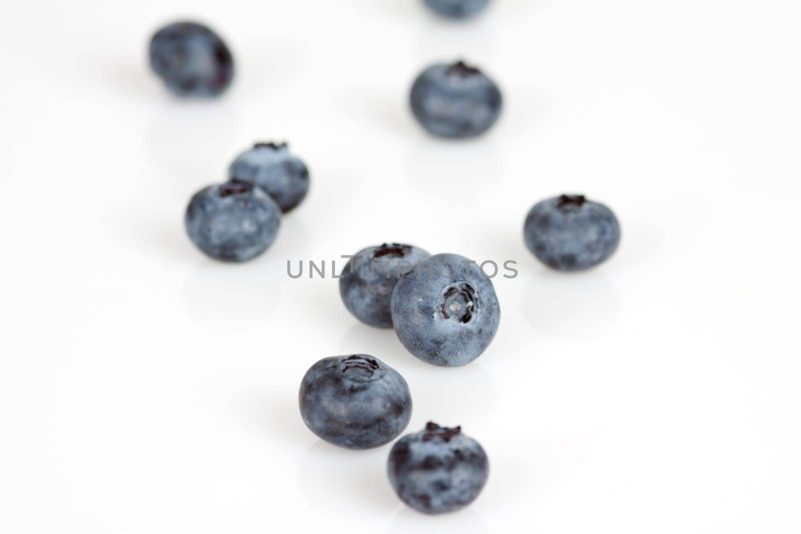 Blueberries on a white background