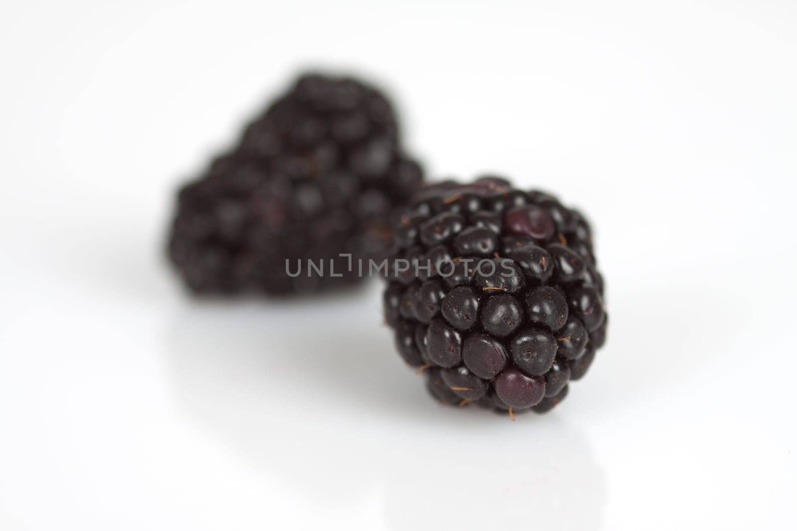 Blackberries on a white background