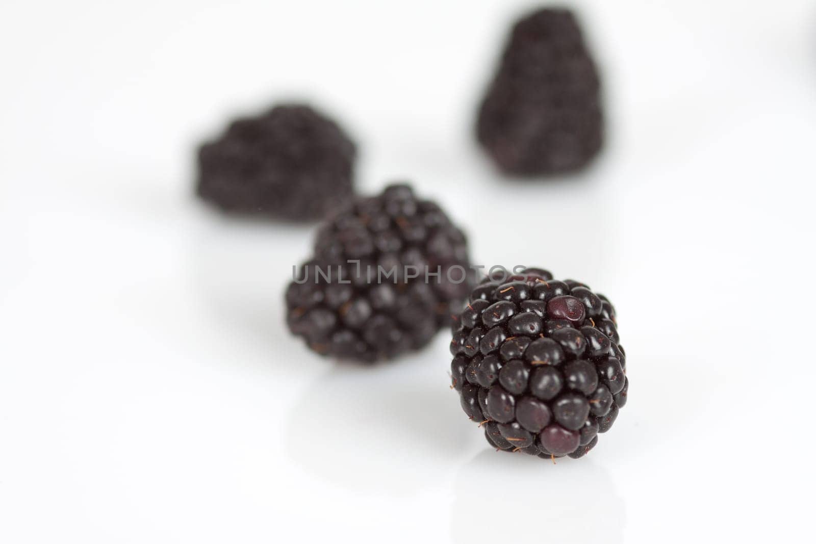 Blackberries on a white background