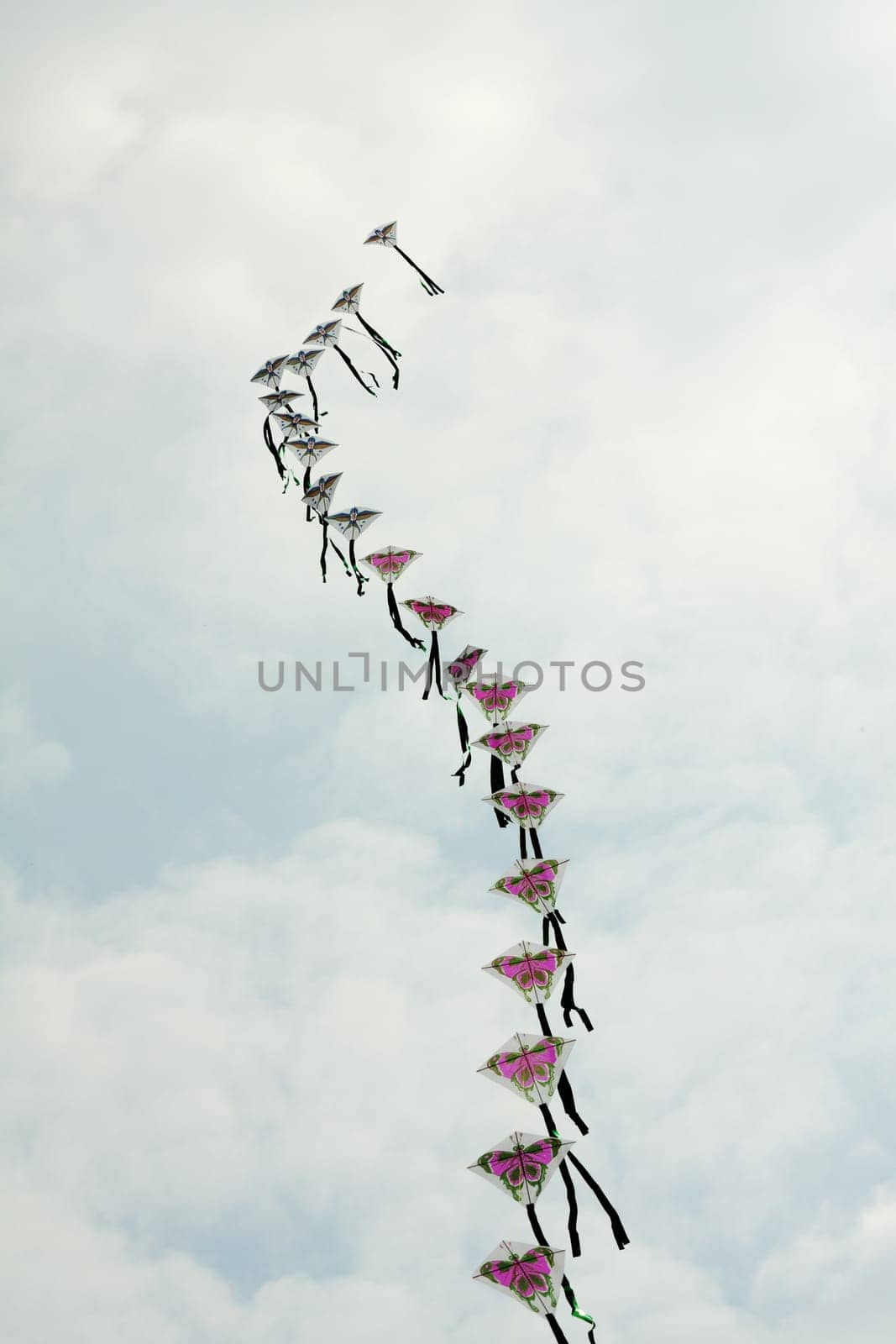 Chinese Dragons in a Long Row