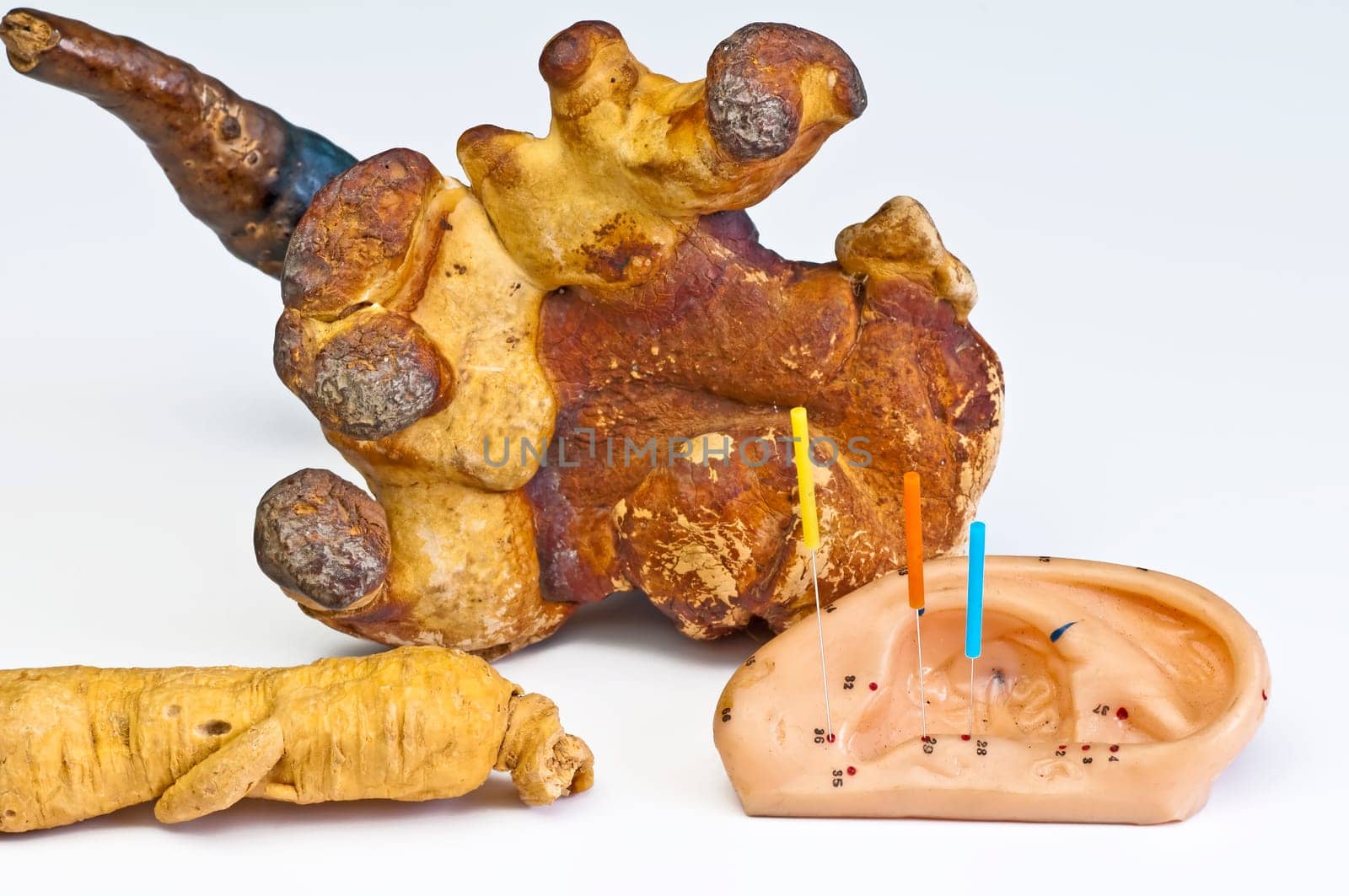 Ear cupuncture,ginseng root and lingzhi mushroom