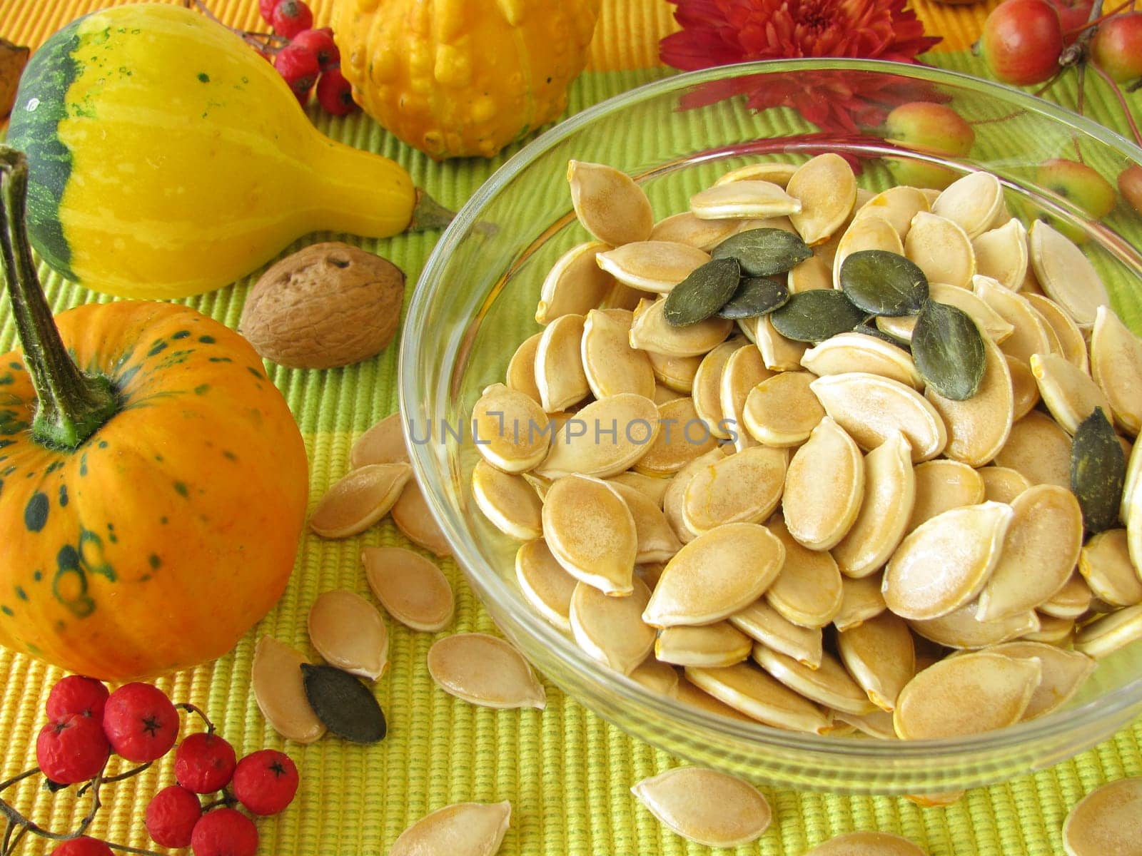 Dried pumpkin seeds with skin