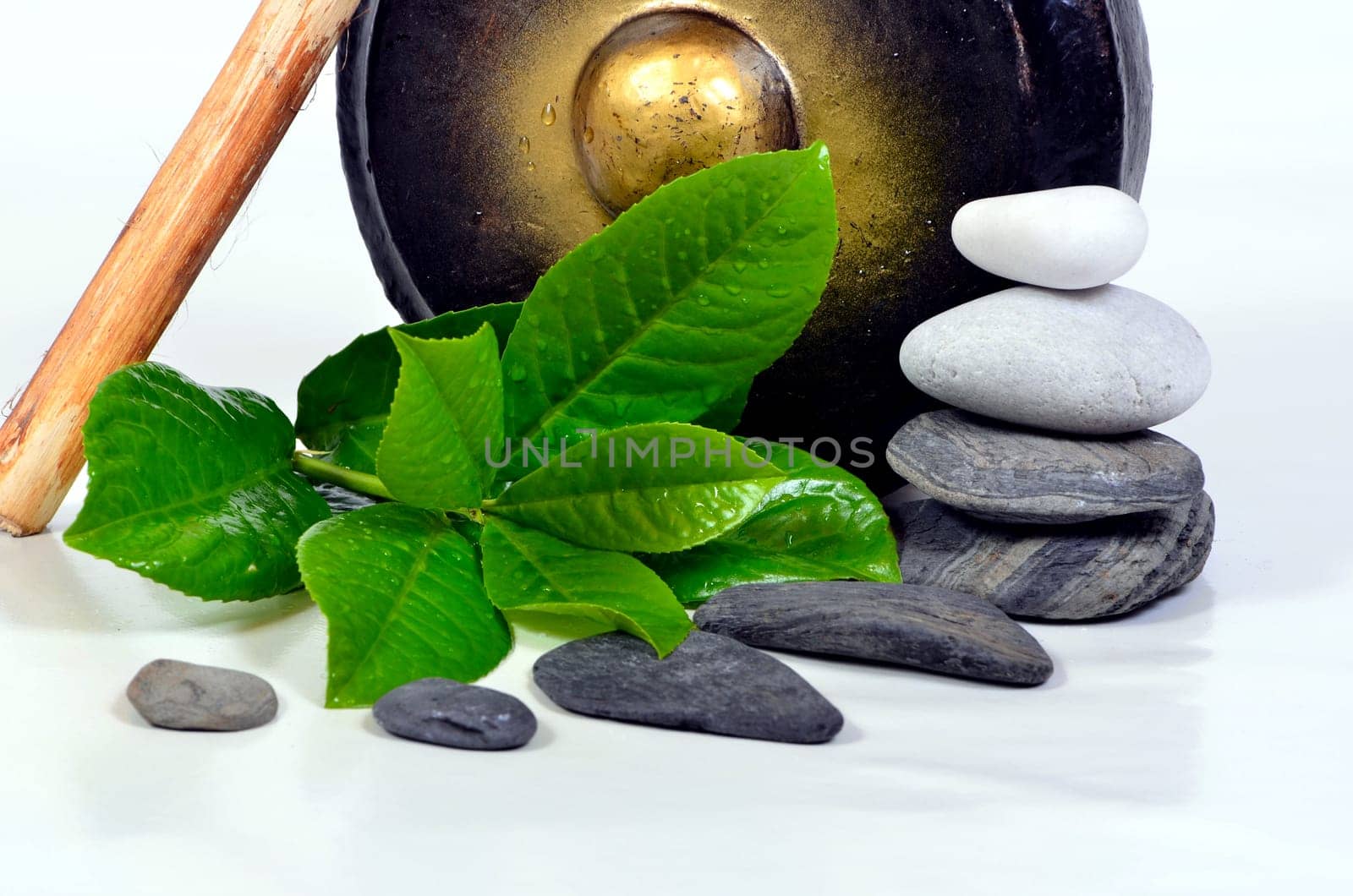 Wellness Gong Stones Massage