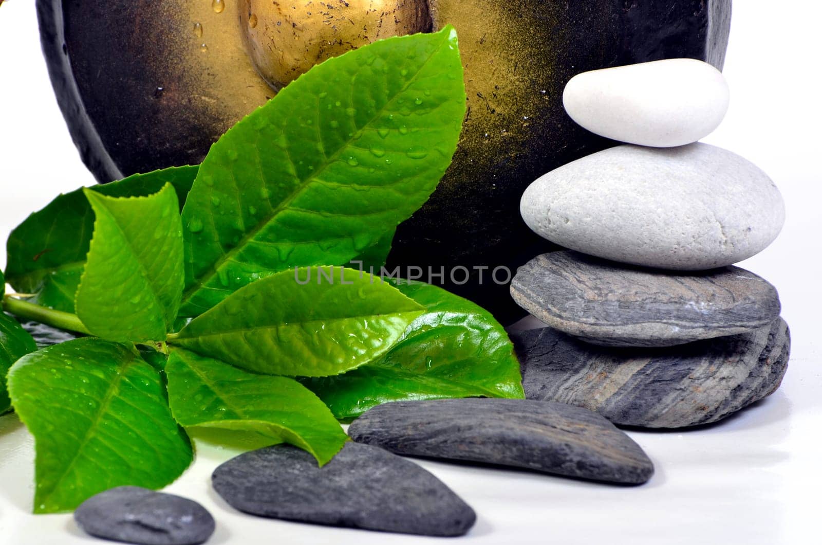 Wellness Gong Stones Massage