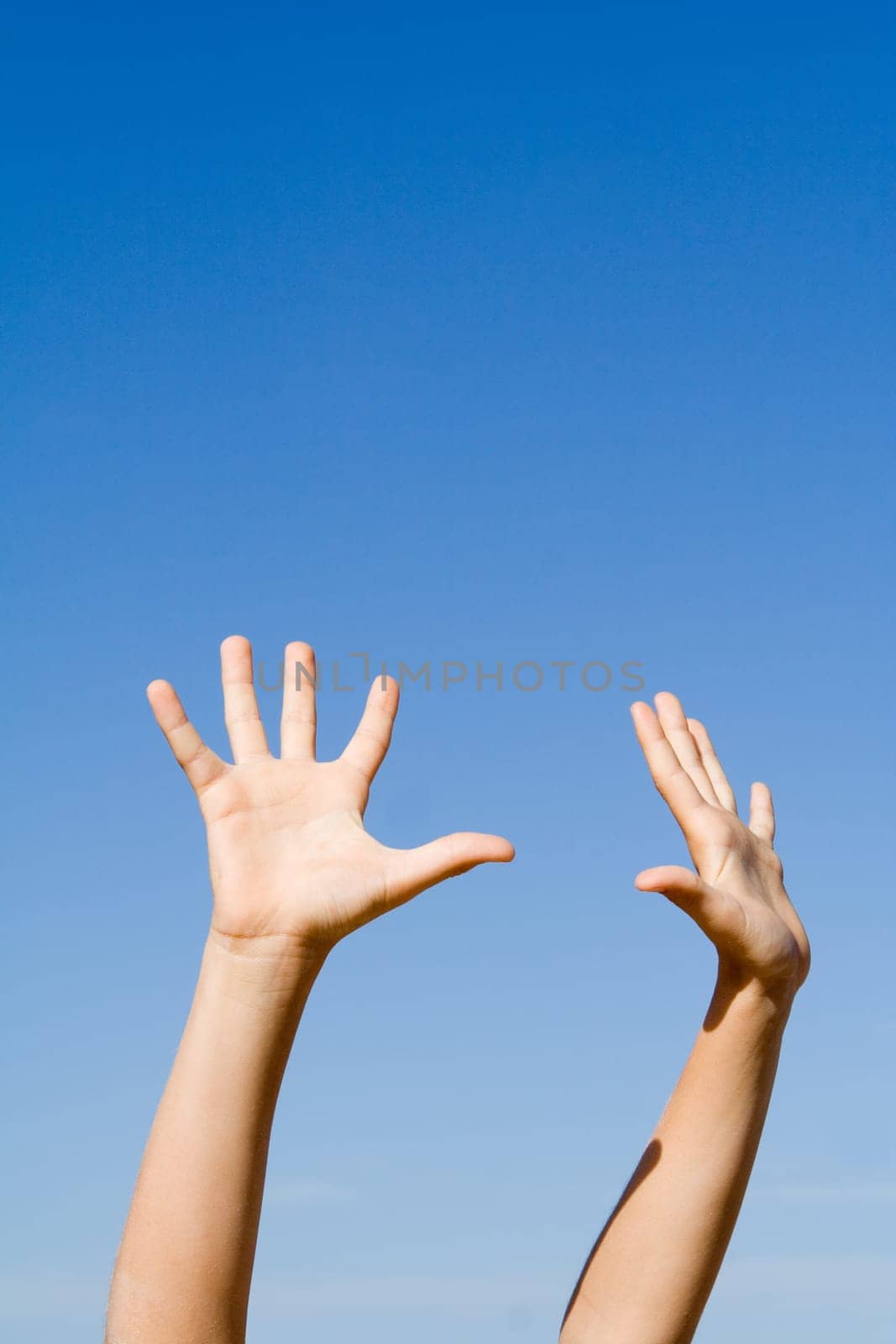 hands and arms in the air reaching up