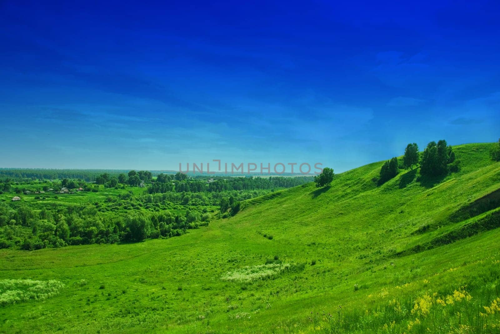 summer landscape of green valley and blue sky