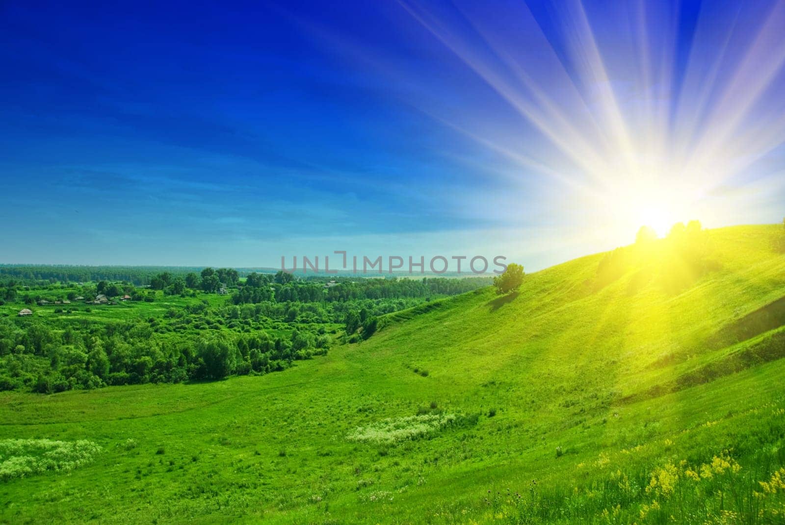 summer landscape of green valley and blue sky