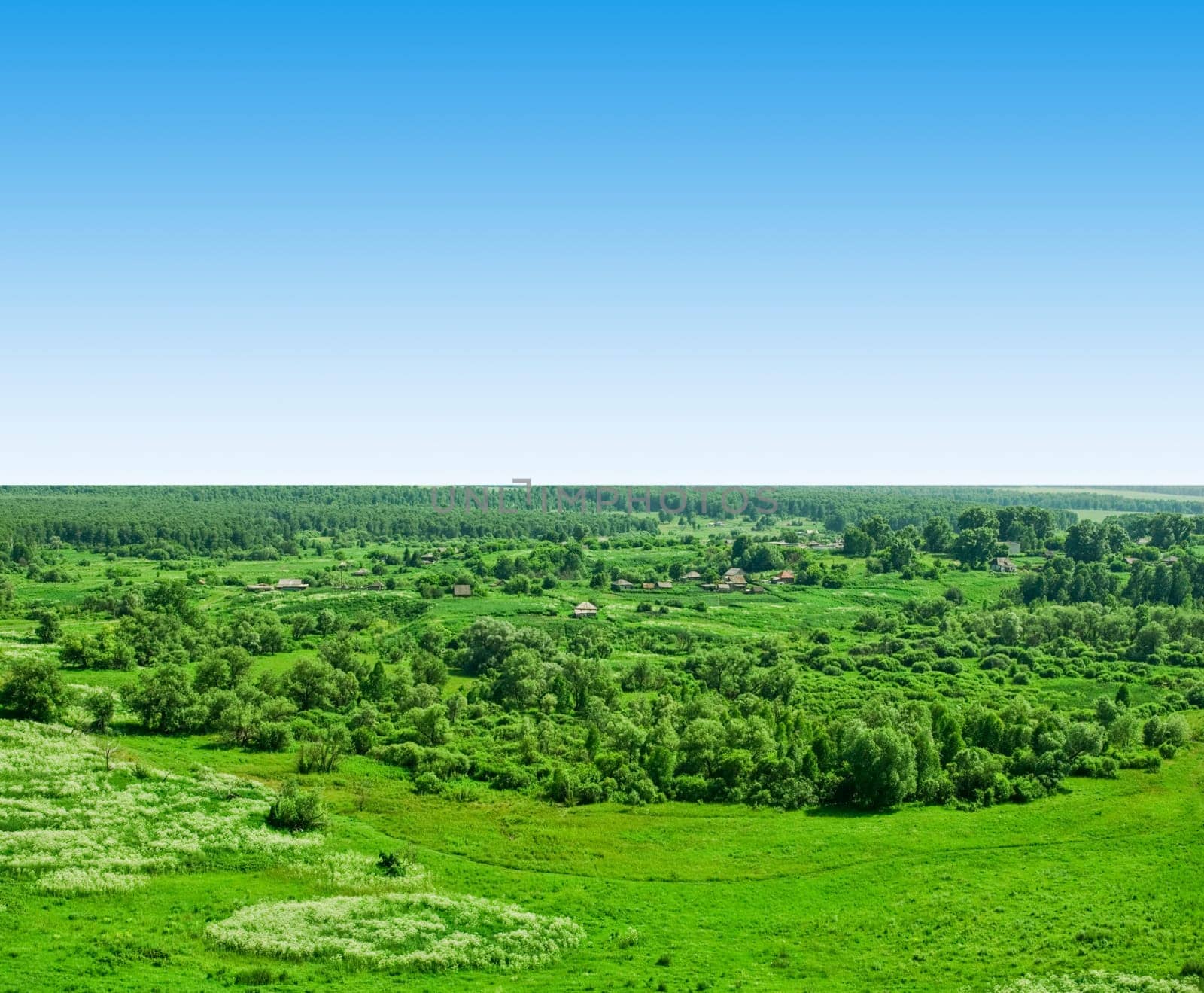 Summer village landscape at sunny day