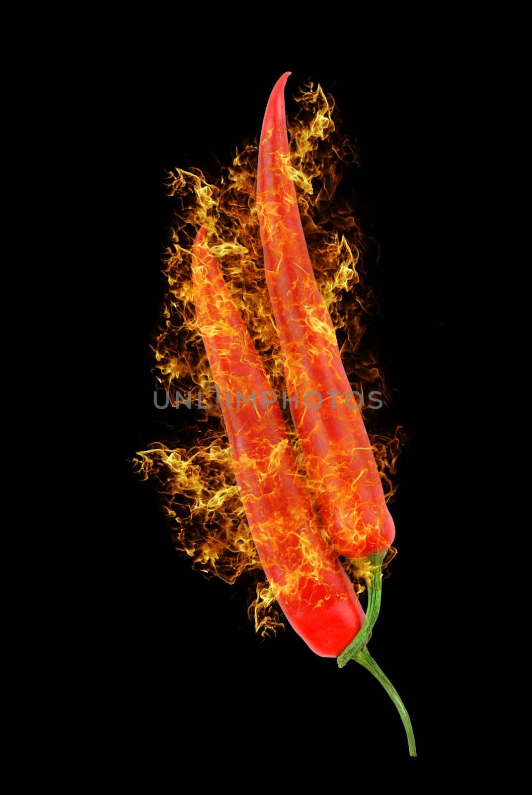 red hot chili peppers isolated on black