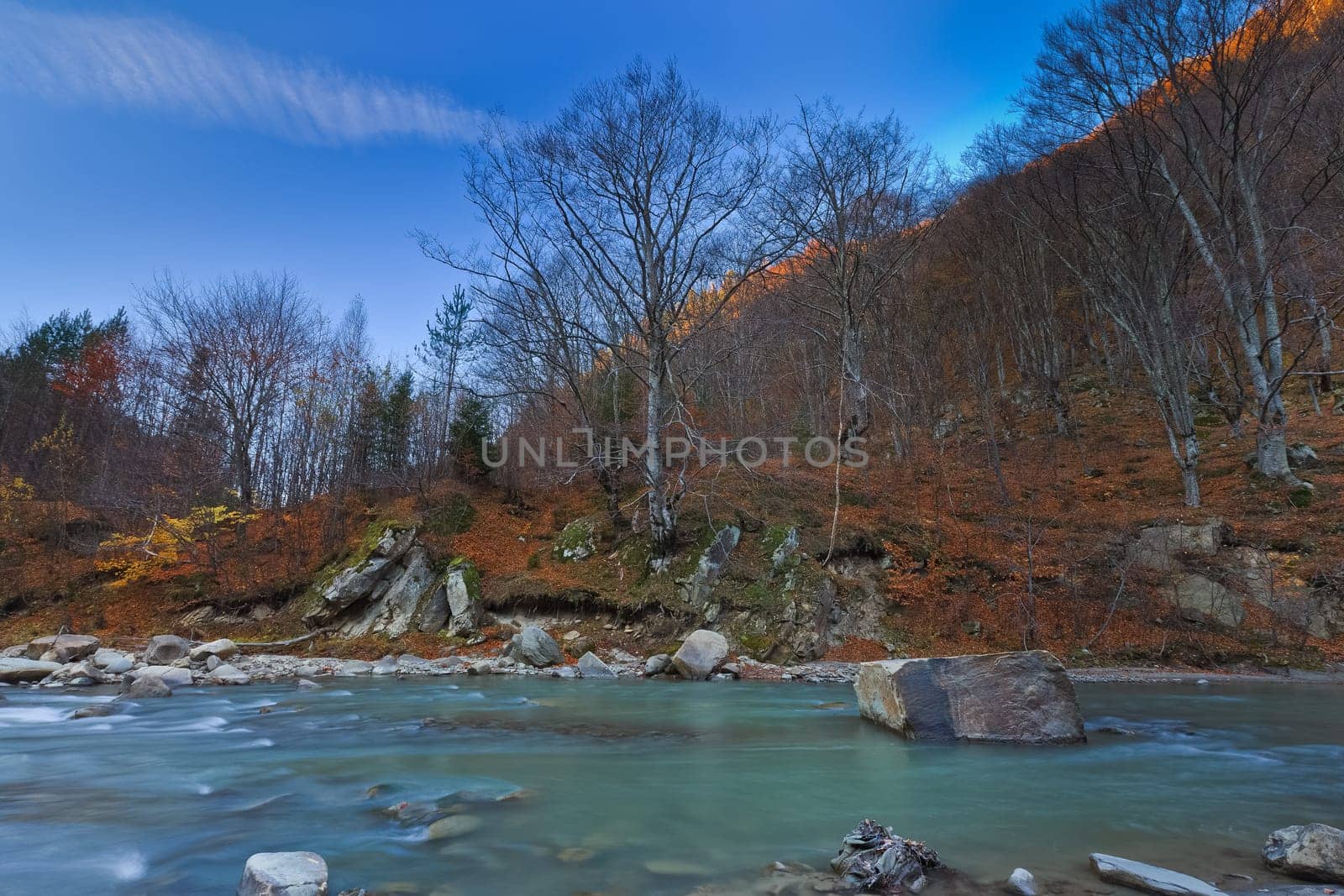 a mountain river and a forest of autumn