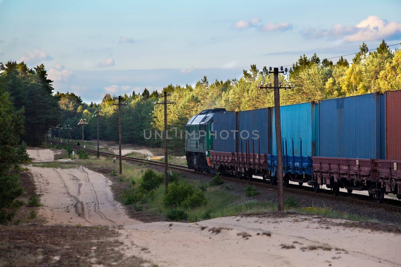 Freight train hauled by the diesel locomotive passing the forest