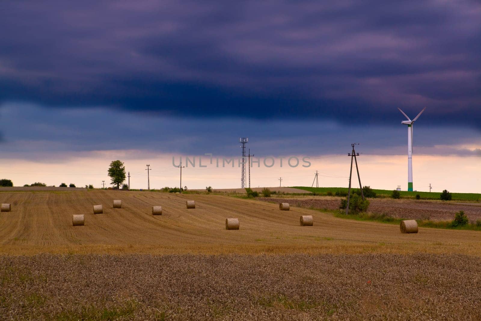 Summer landscape with rye field, wind turbines and electric poles