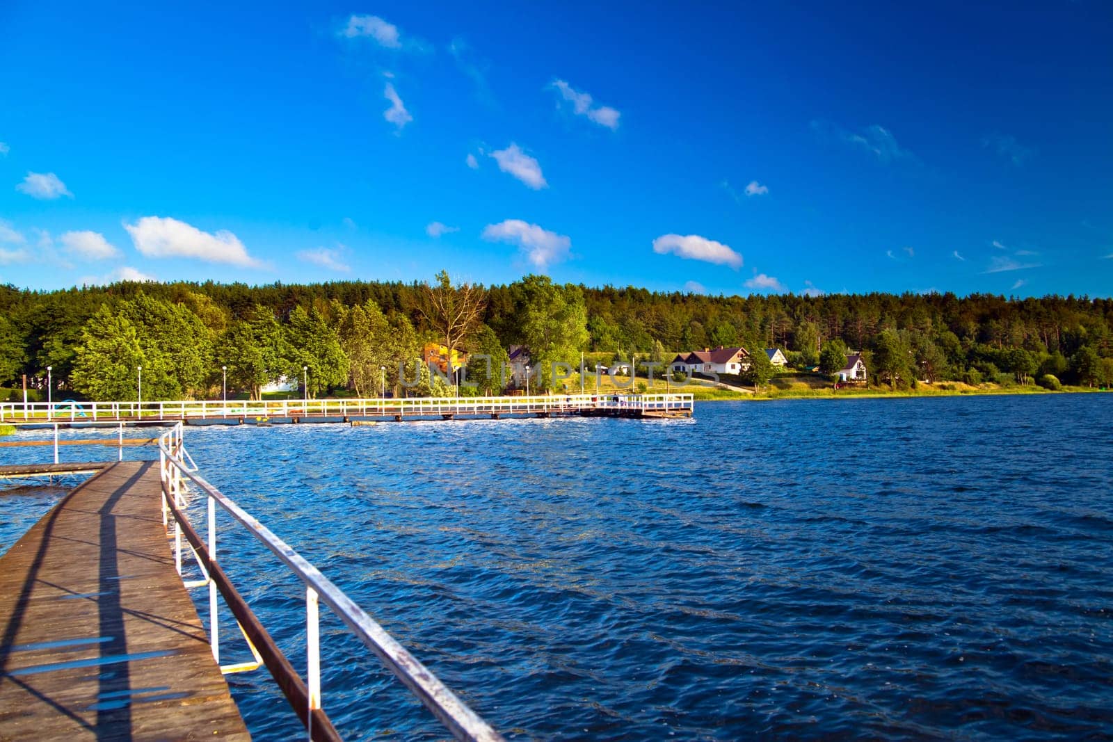 Summer landscape at the lake and forest