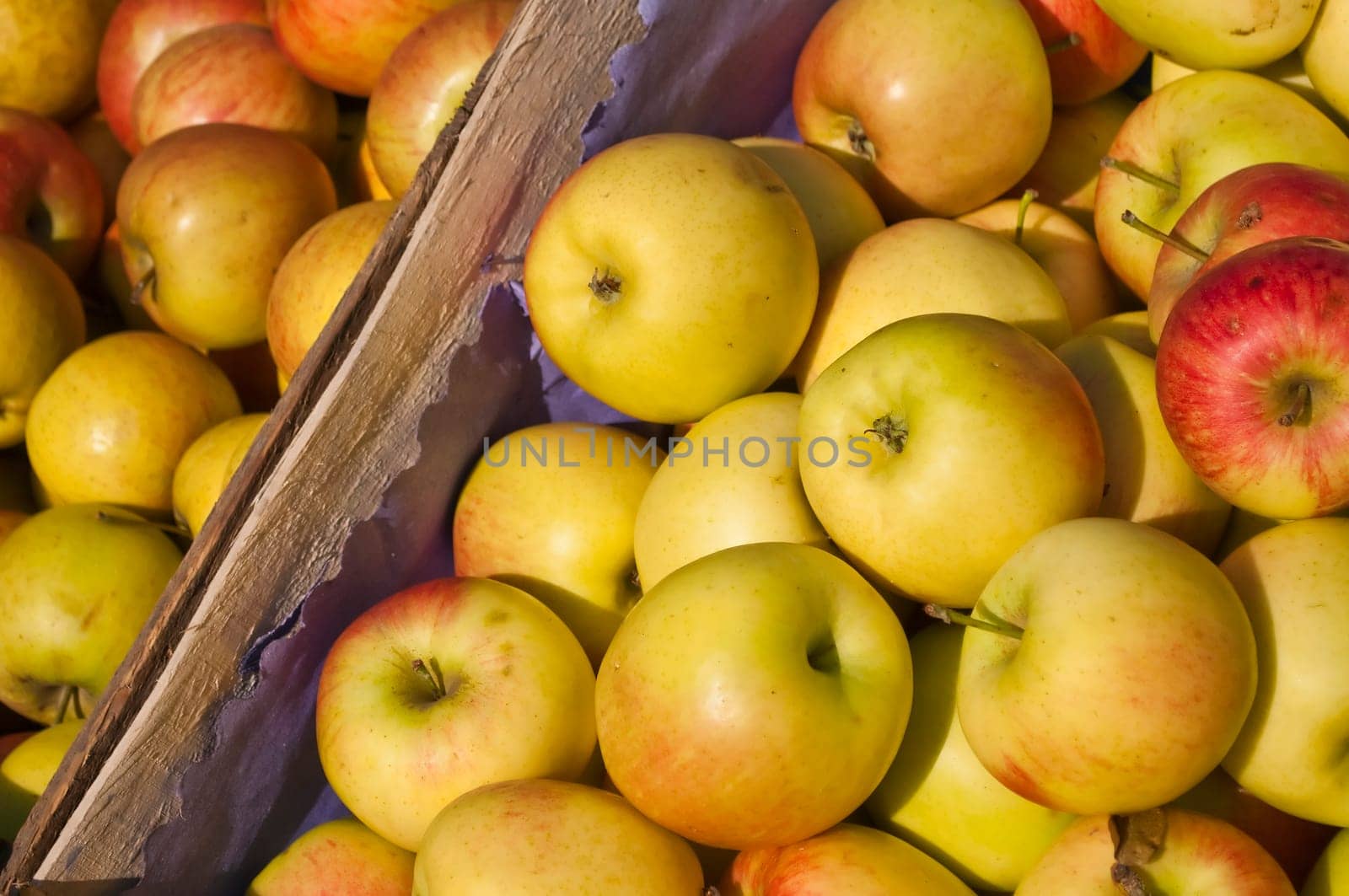 Apples without (New York)