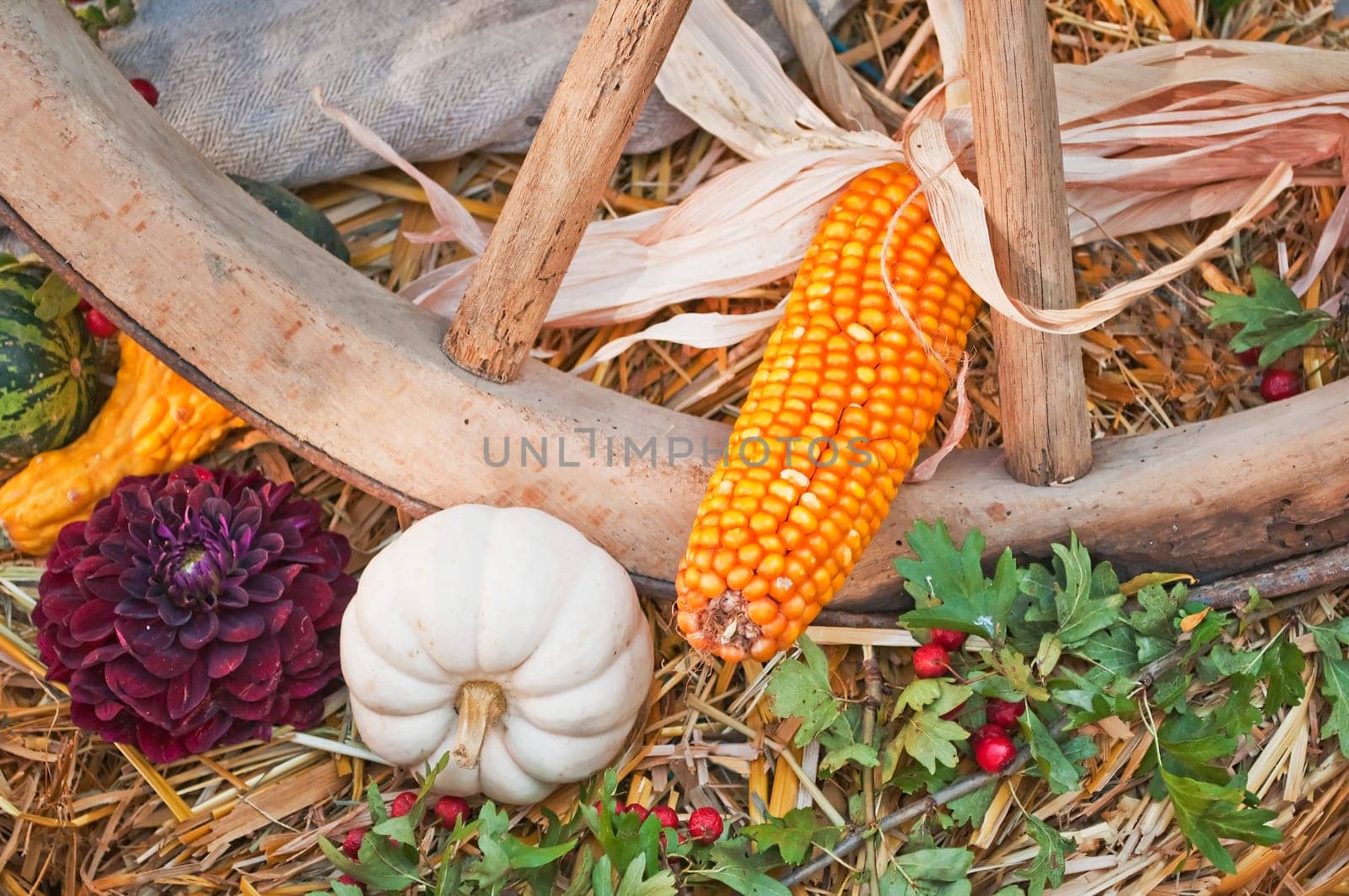 Decoration for Thanksgiving
