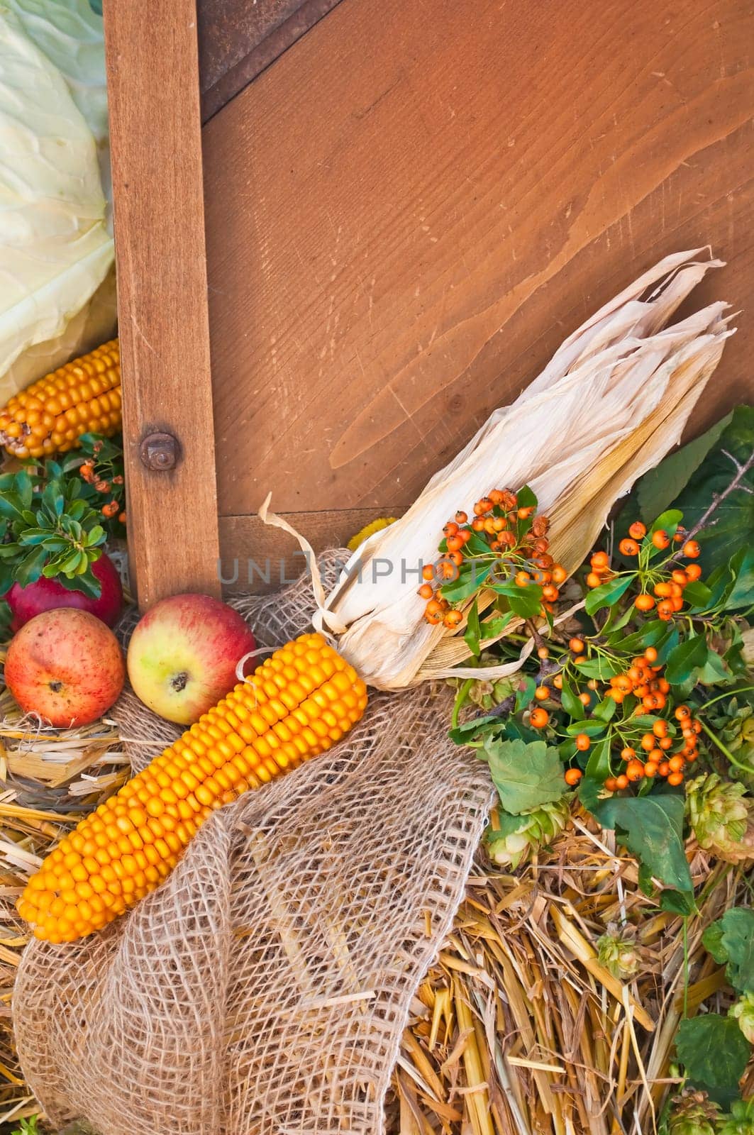 Decoration for Thanksgiving