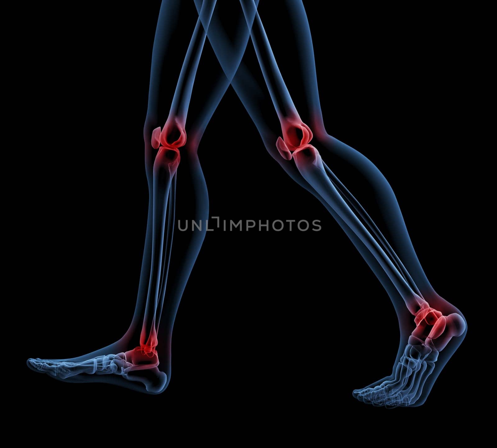 3D render of a skeleton close up of legs walking