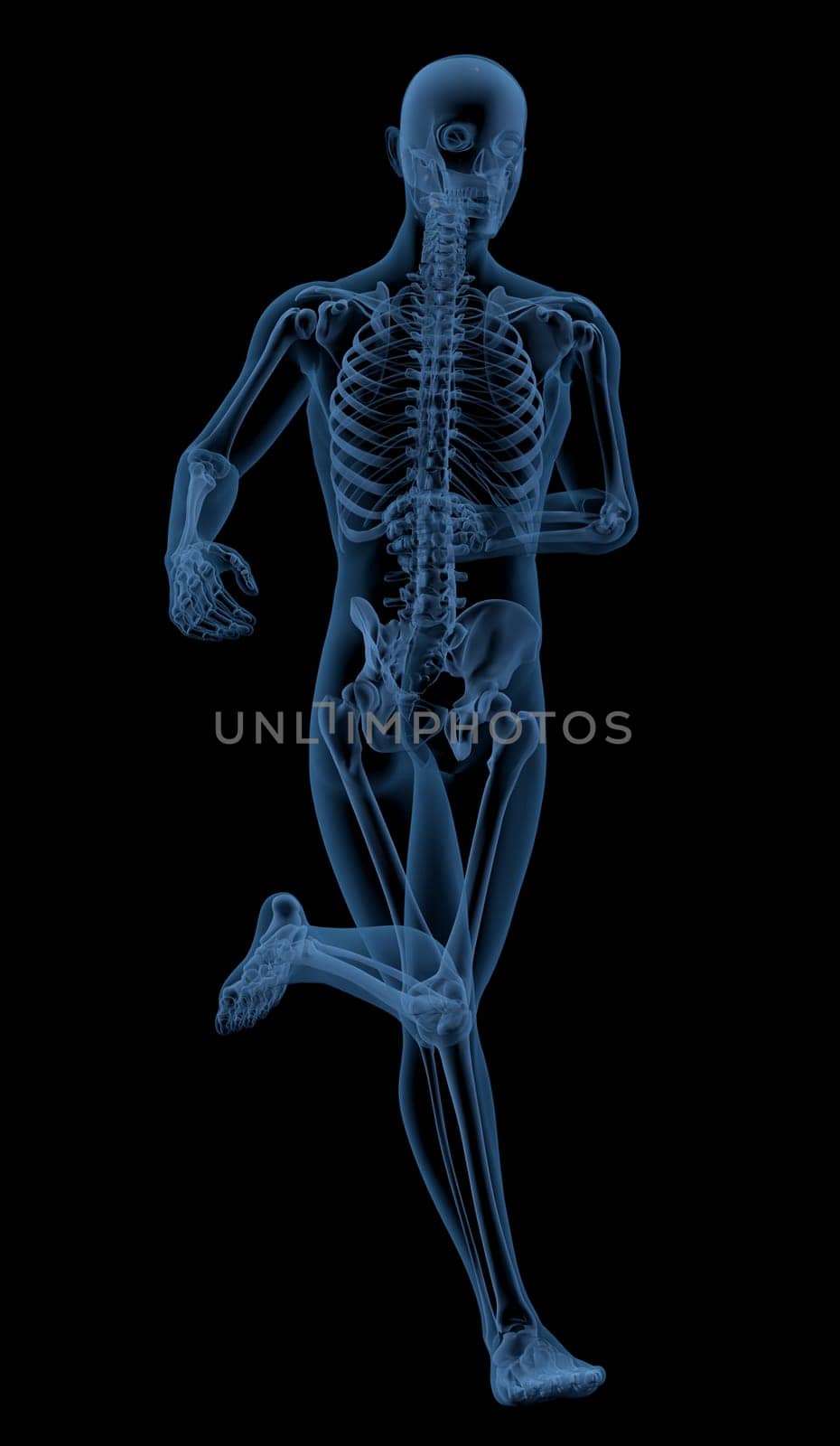 3D render of a skeleton running