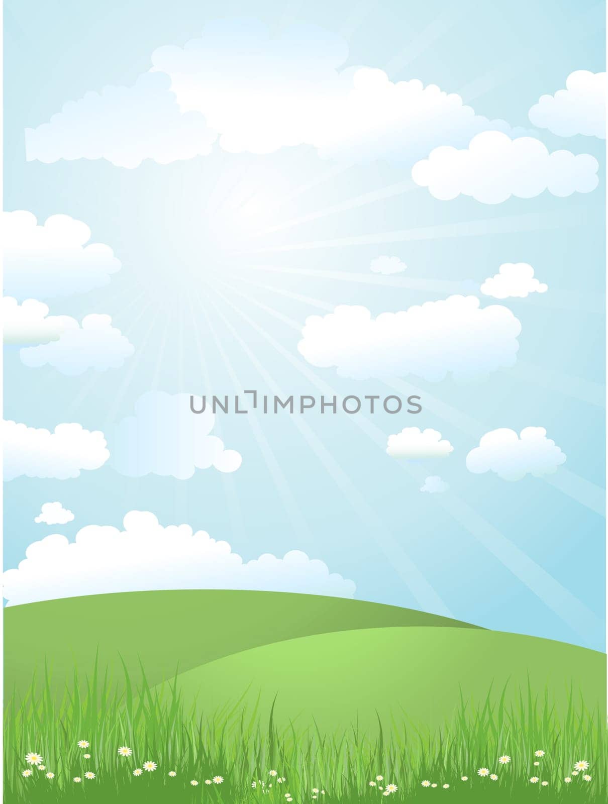 Grassy landscape on a sunny day