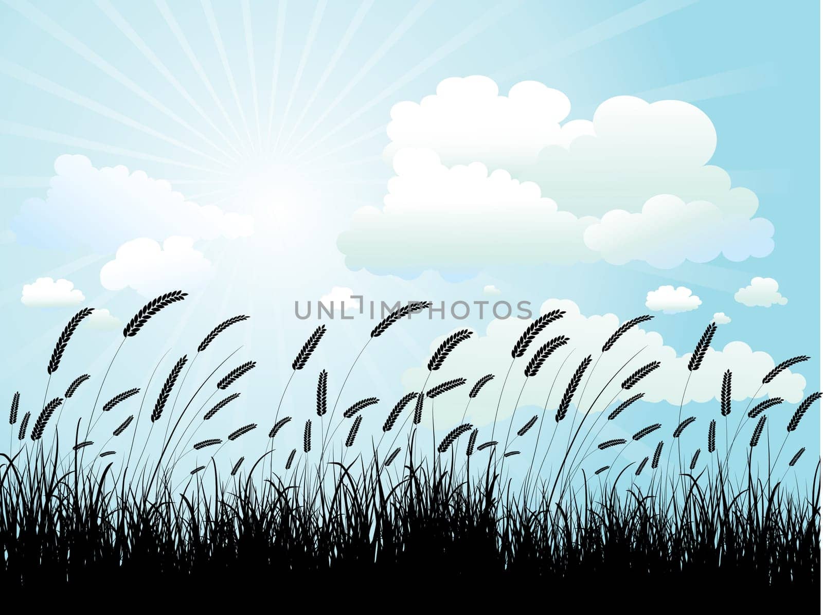 Silhouette of wheat against a blue sky