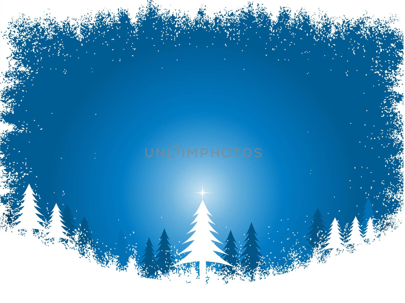 Christmas trees on a snowy landscape