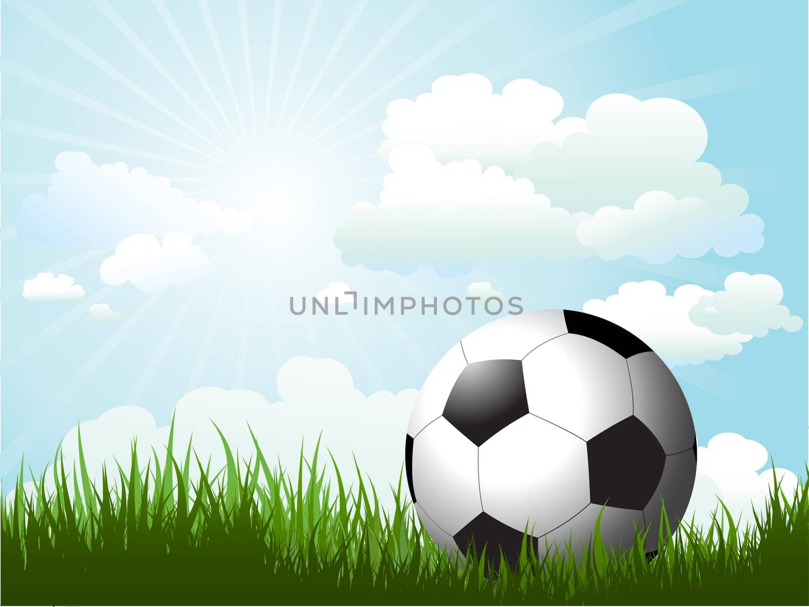 Football in grass against a sunny sky