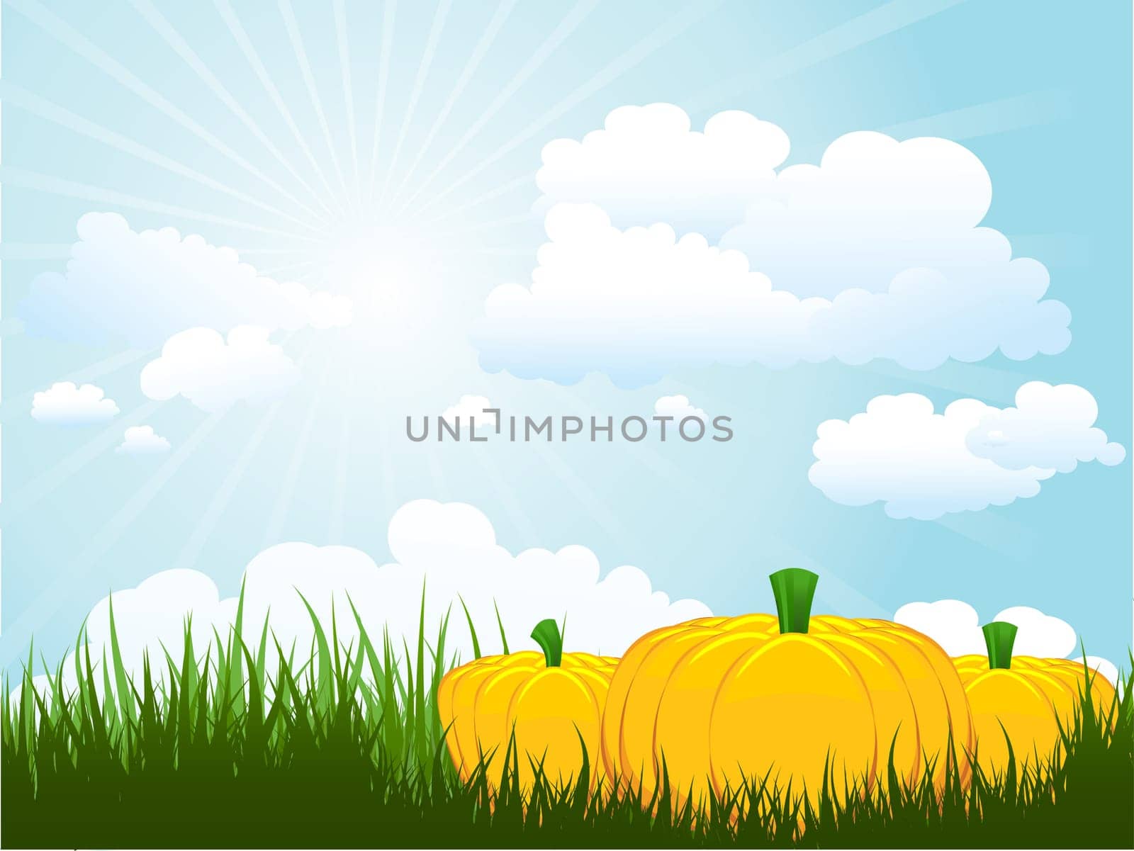 Pumpkins in grass against a sunny sky