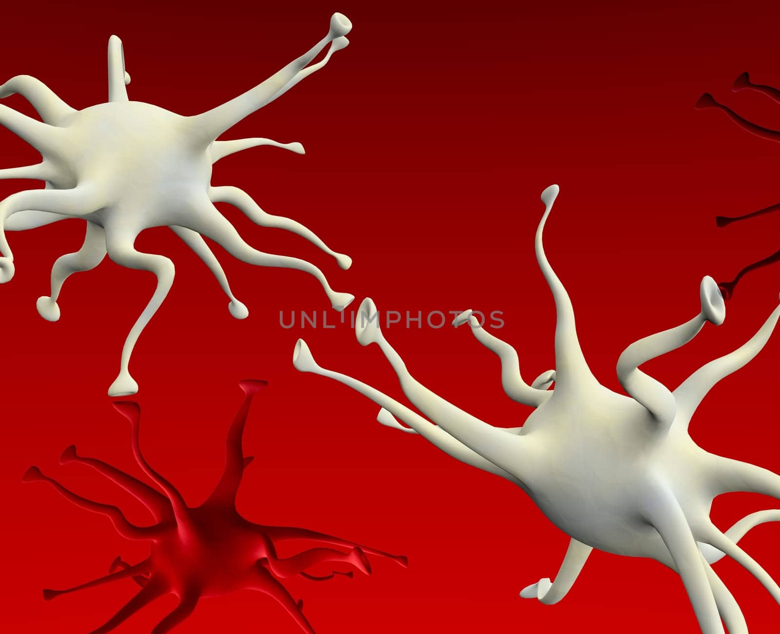 nerve cell