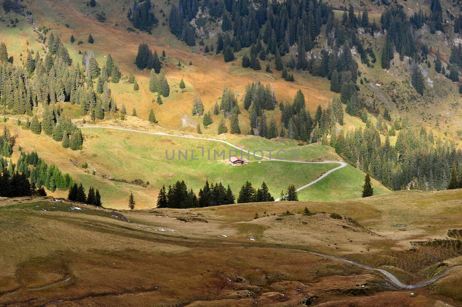Simmental in Switzerland