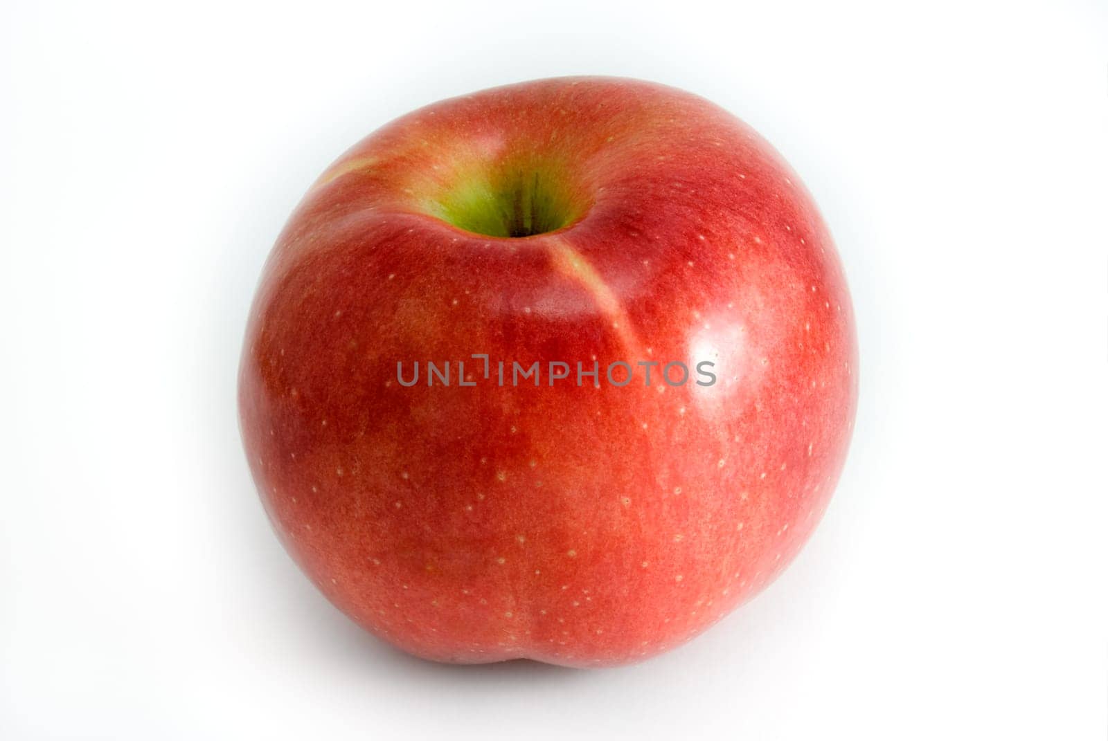 Red apple are photographed on a white background