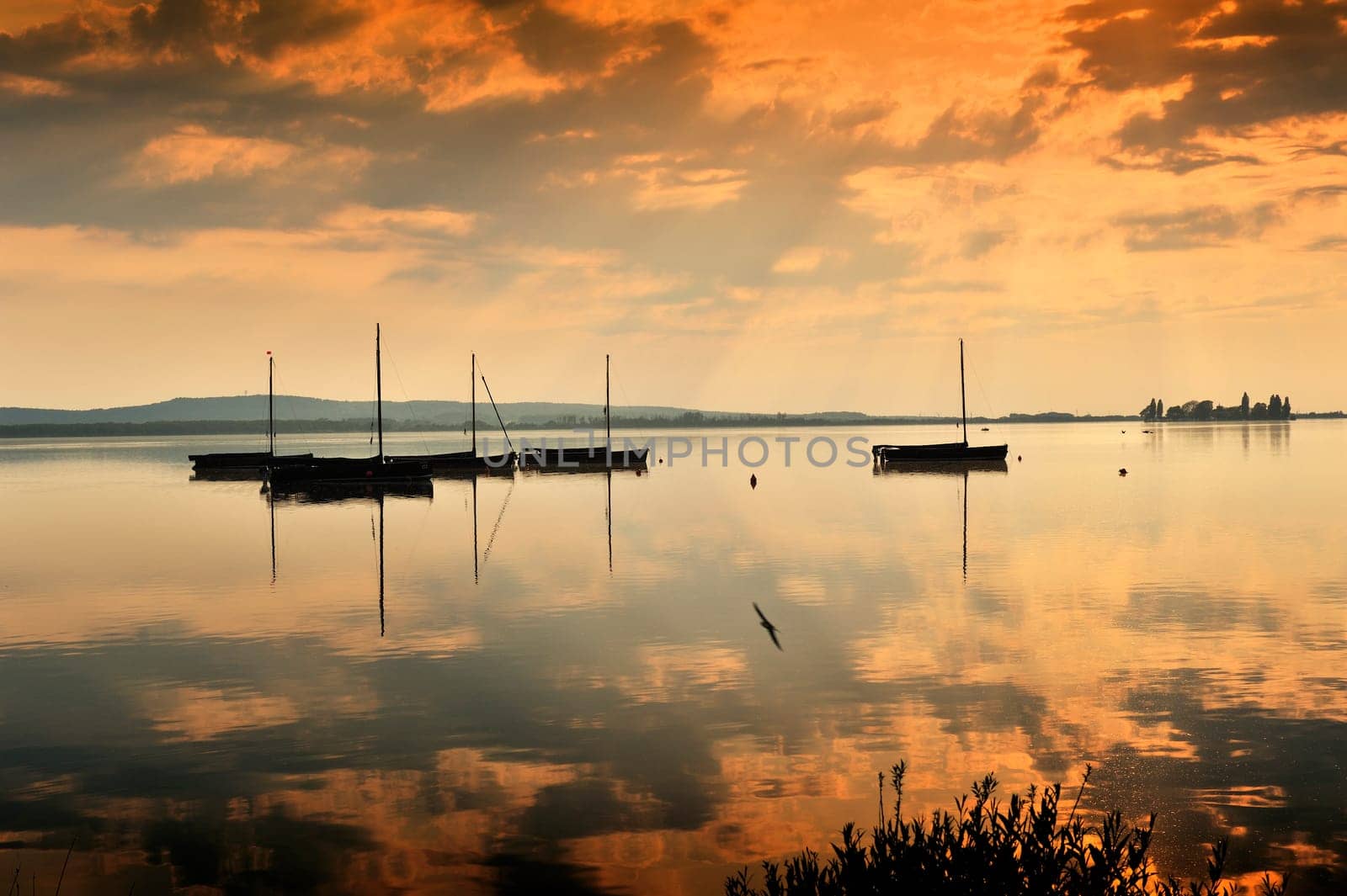 Pictures taken in Steinhude by the sea,at sunset by the lake.