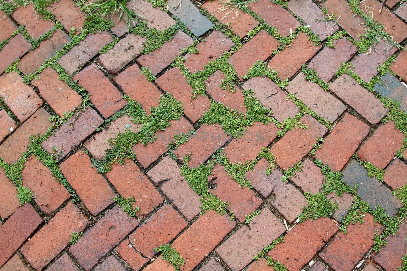 The dirty texture of a brick patterned sidewalk