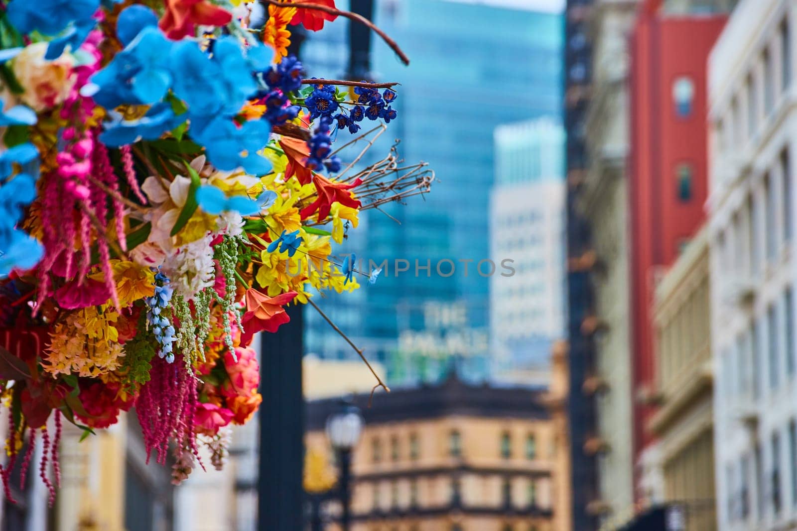 Image of Colorful assortment of flowers on left half of photo with blurry buildings leading to The Palace