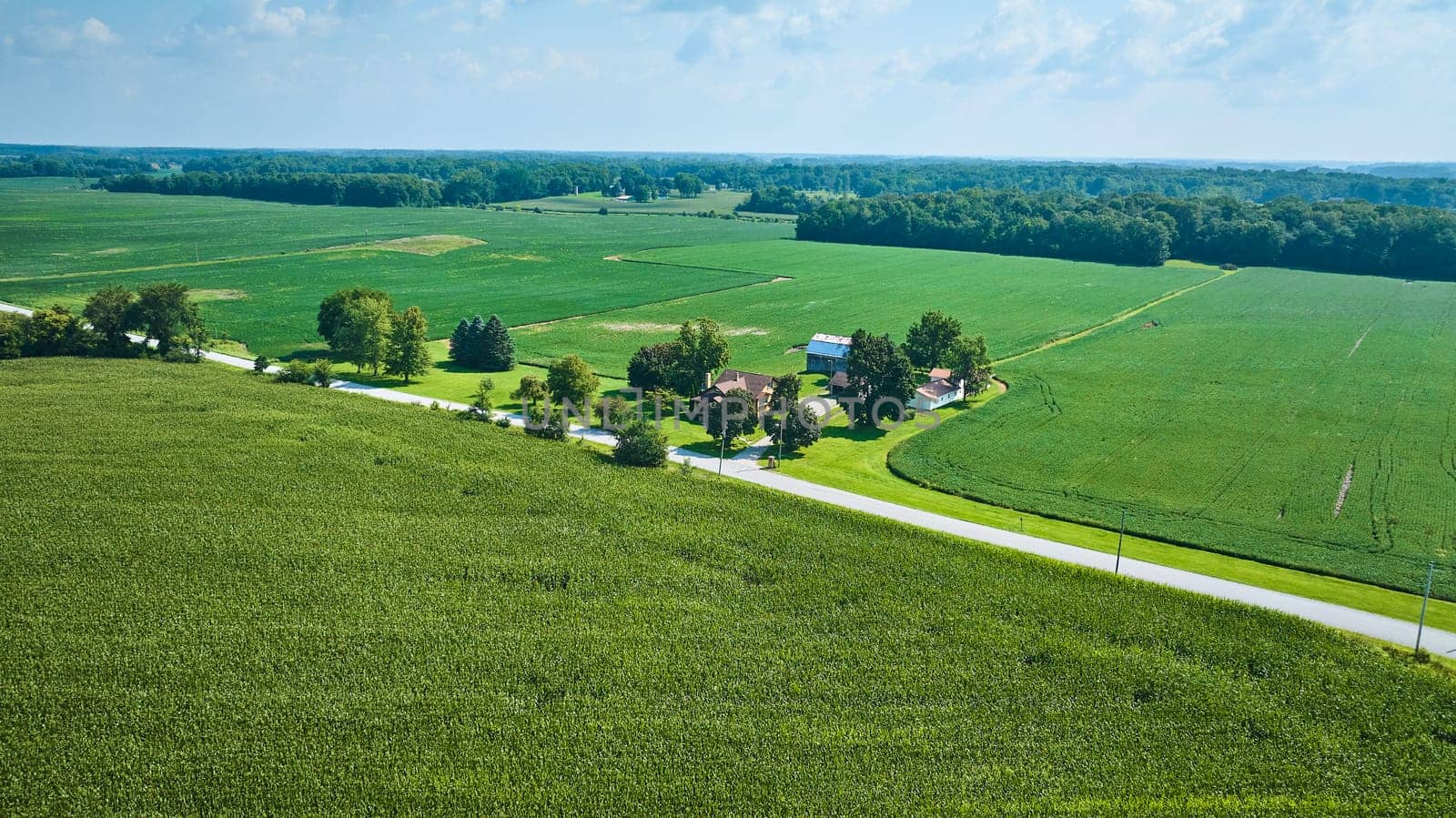 Image of Wide view of farmland with lush green crops and single road through country aerial