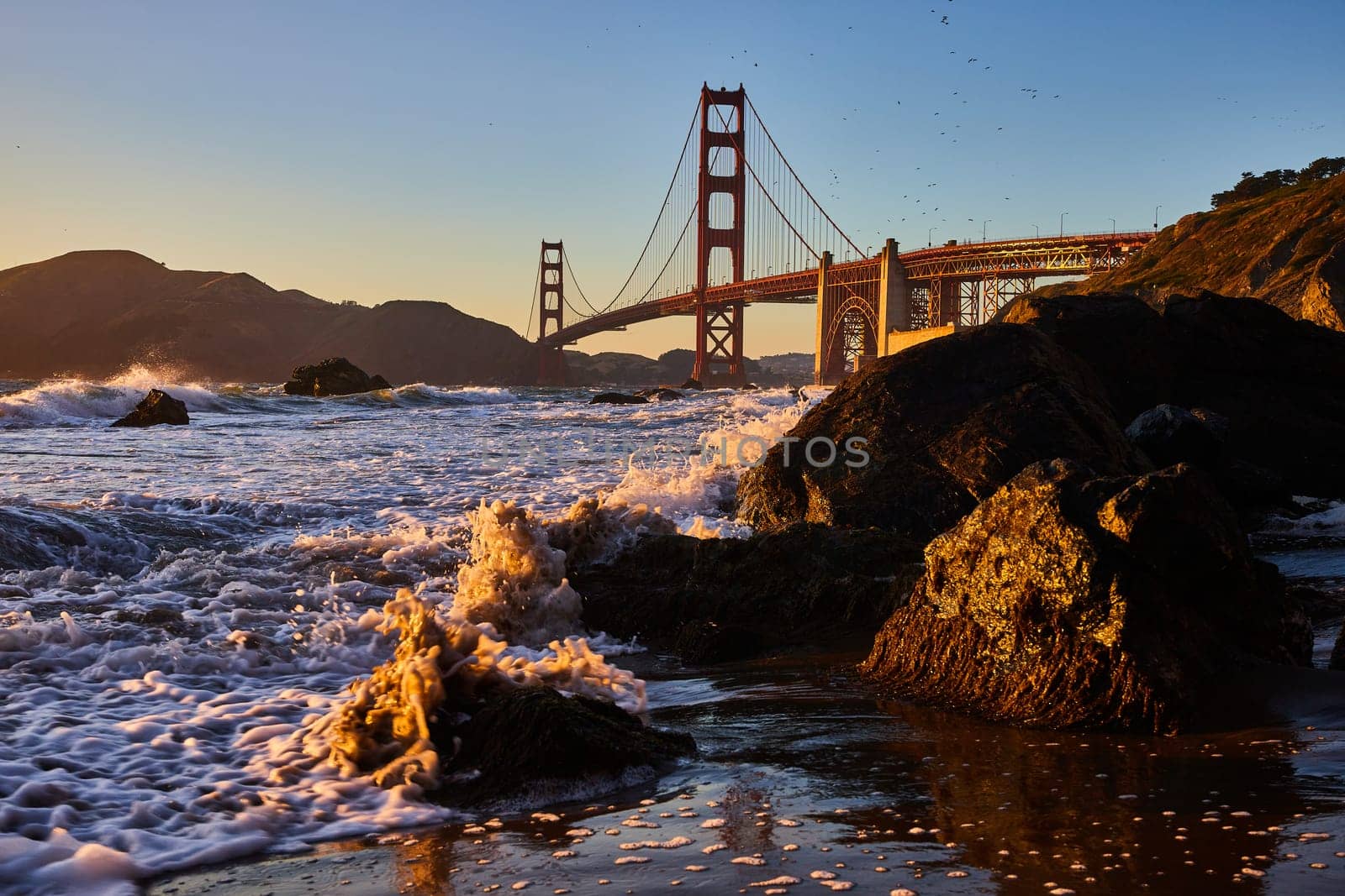 Image of Golden seafoam spraying around black boulder on shore with Golden Gate Bridge in distance