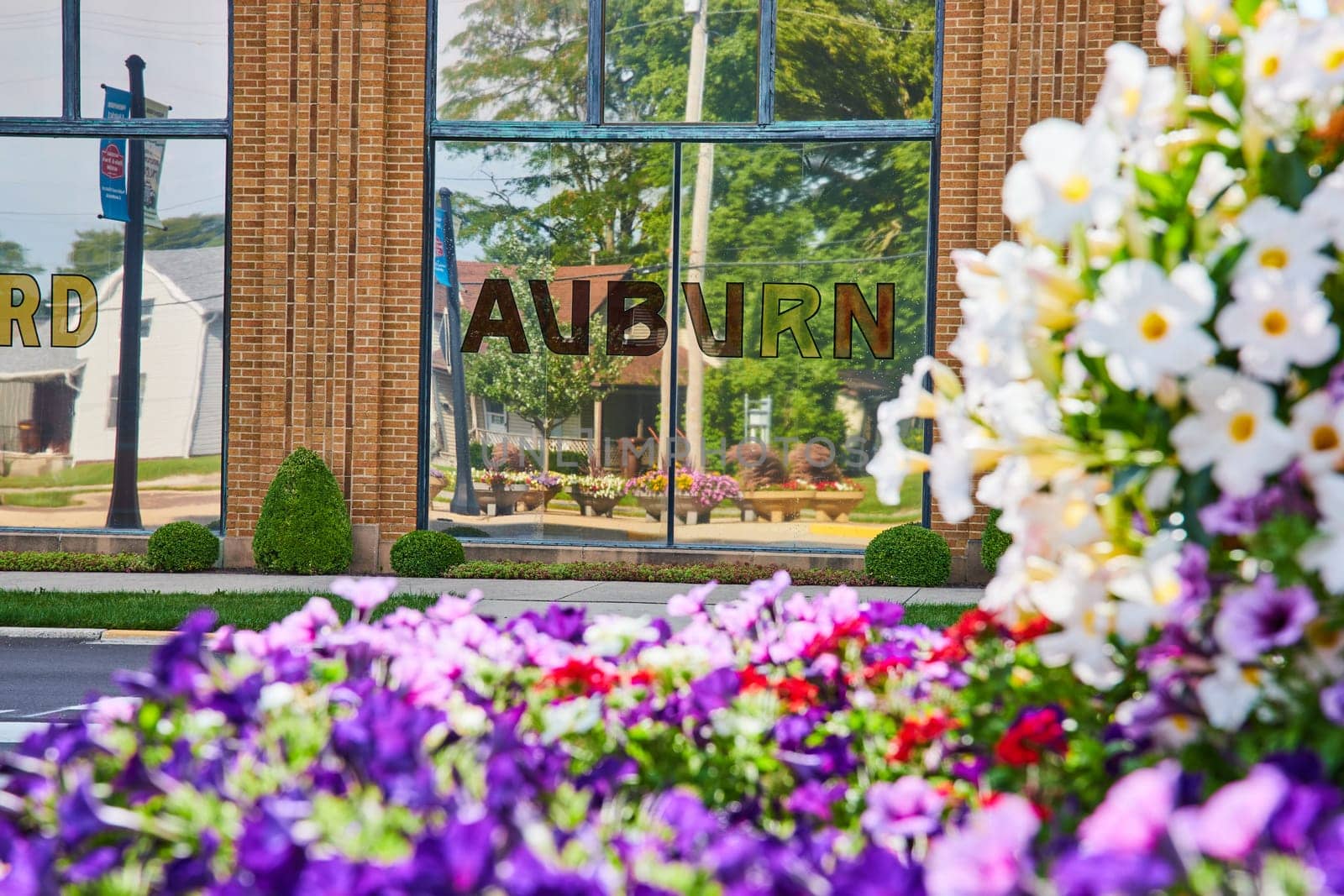 Image of Colorful purple and white flowers framing Auburn decal on window of ACD museum