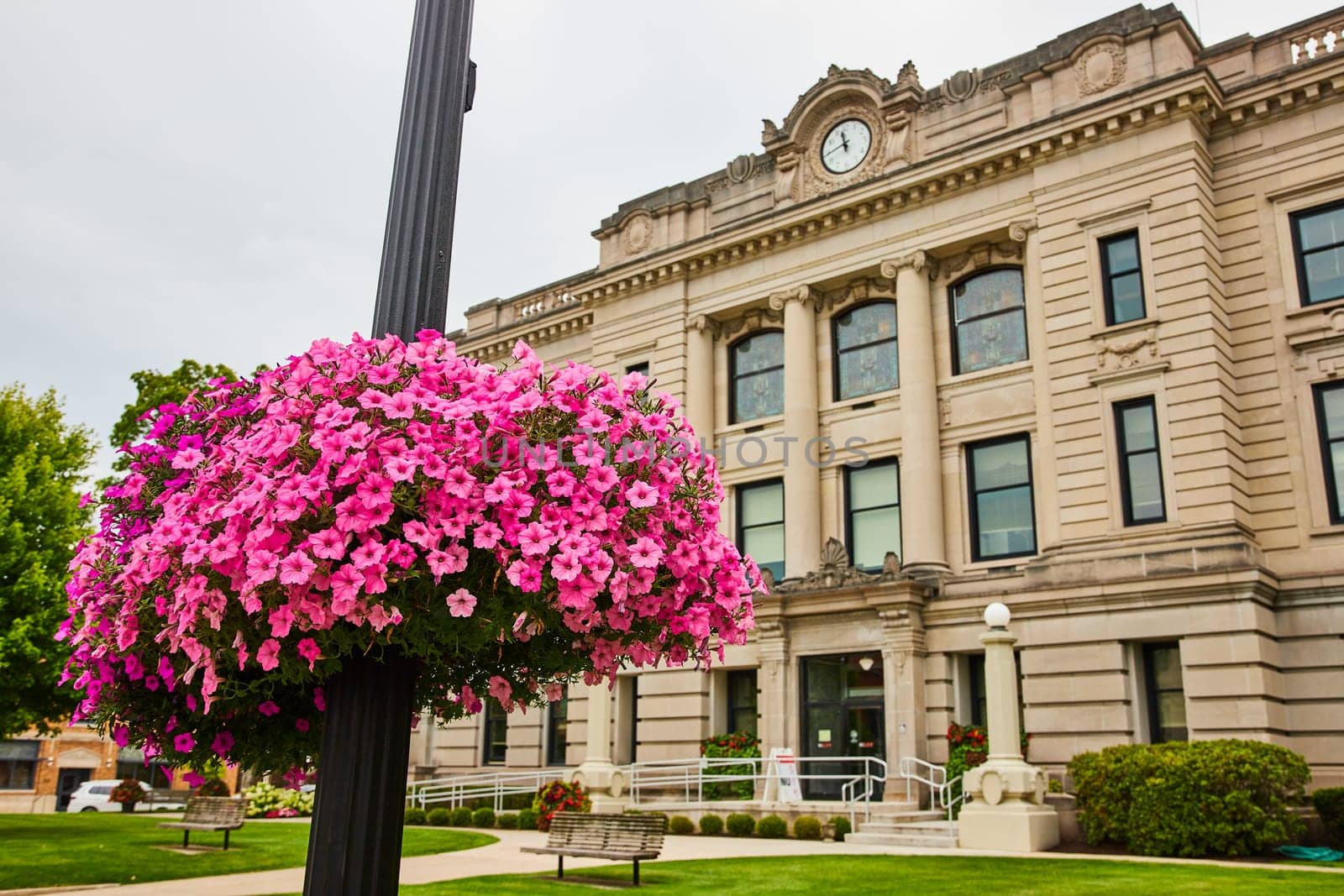 Image of Pretty pink flowers hanging on black pole in front of Auburn courthouse