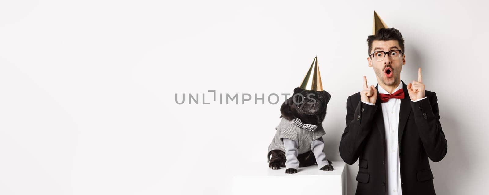 Cute black pug dog wearing party cone and standing near happy owner, man pointing fingers up at copy space, celebrating birthday, white background.