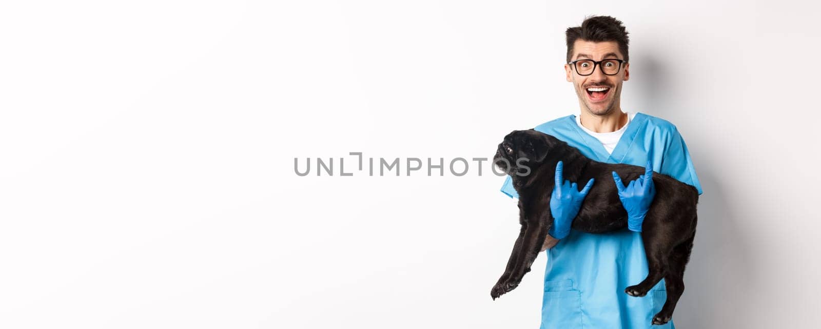 Vet clinic concept. Happy male doctor veterinarian holding cute black pug dog, smiling at camera, showing rock-n-roll gesture, white background.