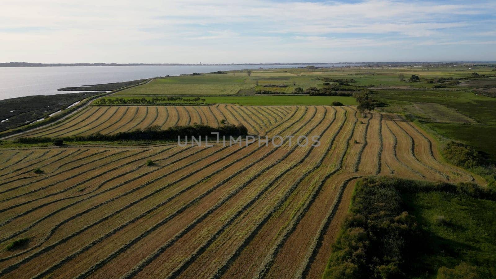 Aerial view of the cultivated fields of the estuary in Murtosa, Aveiro - Portugal.