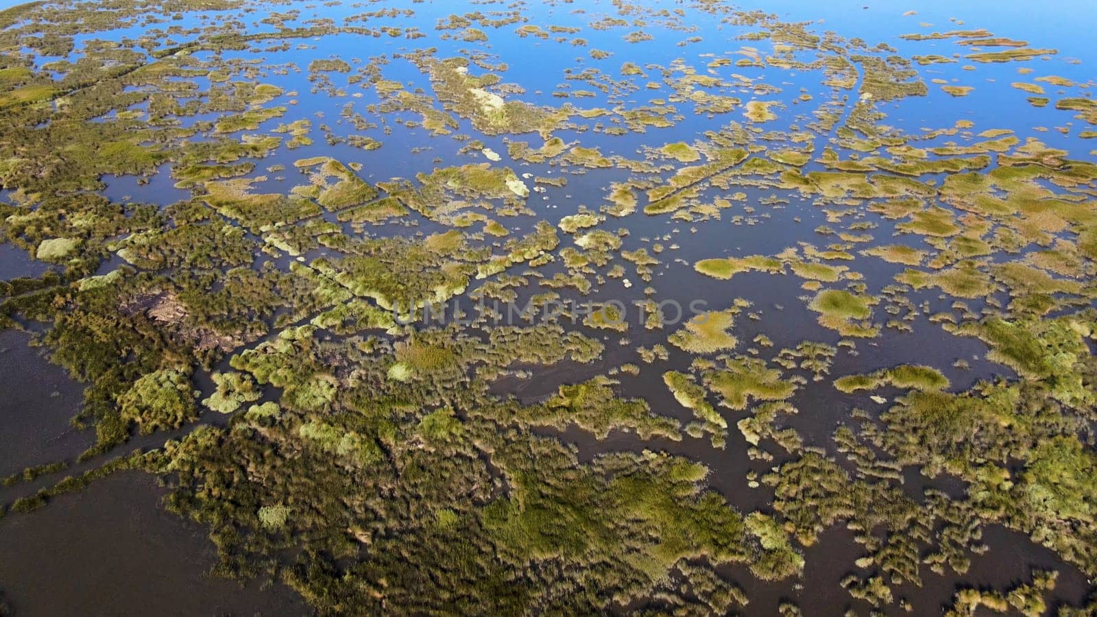 Aerial View of Puxadouro near the Aveiro Lagoon at Ovar, Aveiro, Portugal