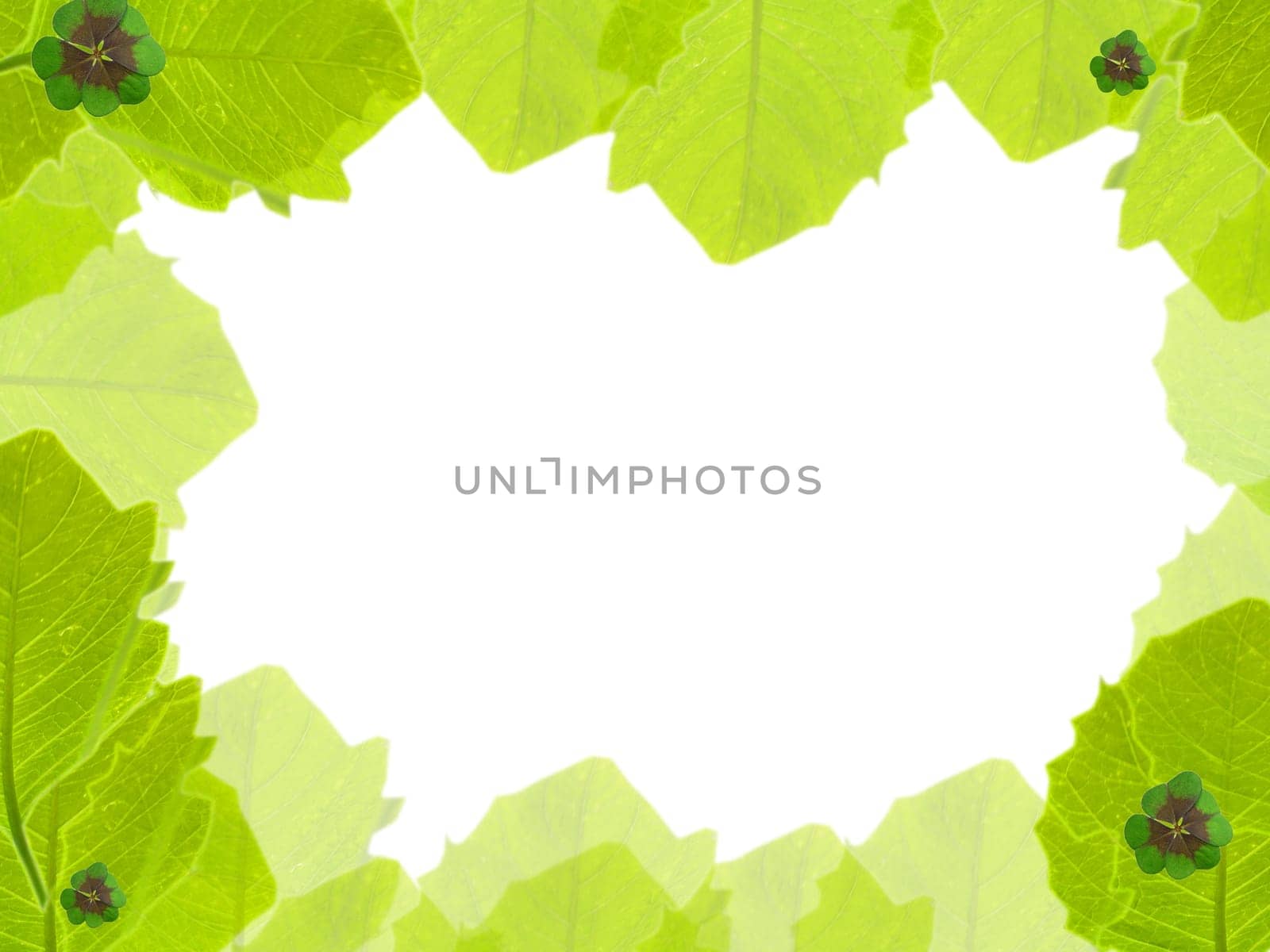 Background with clover